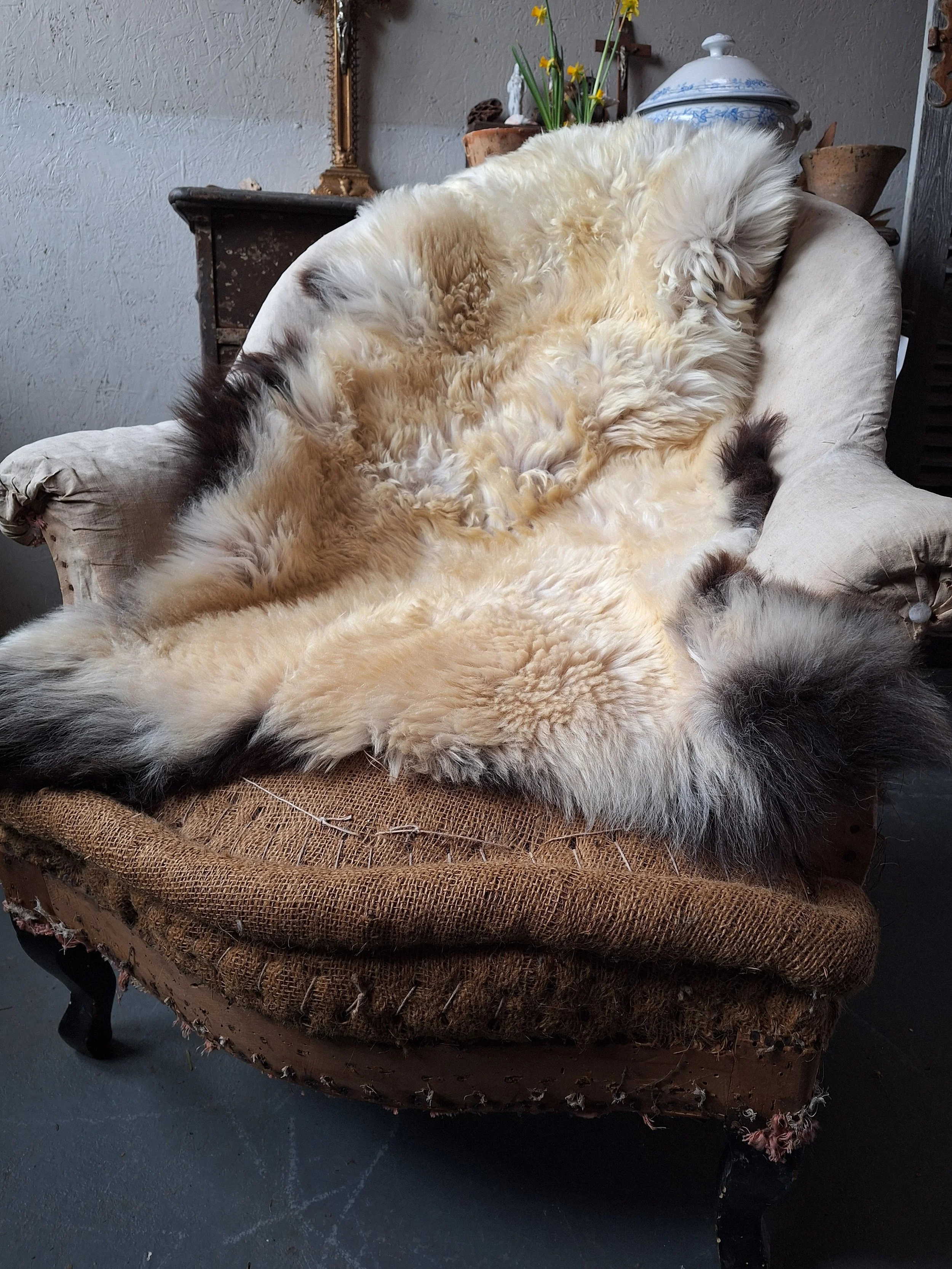 Natural Sheepskin with dark edges size medium