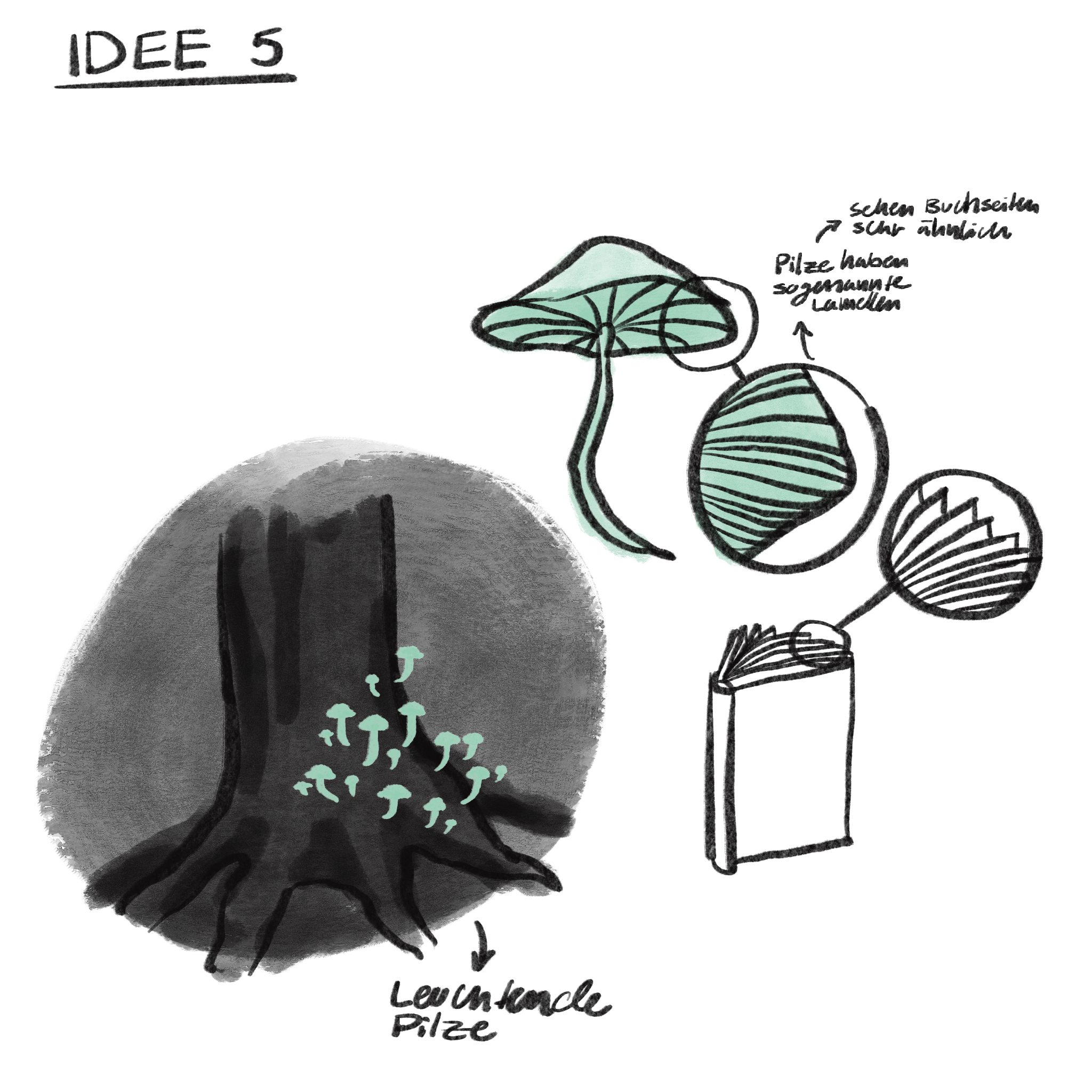 Unbenanntes_Projekt 12.png