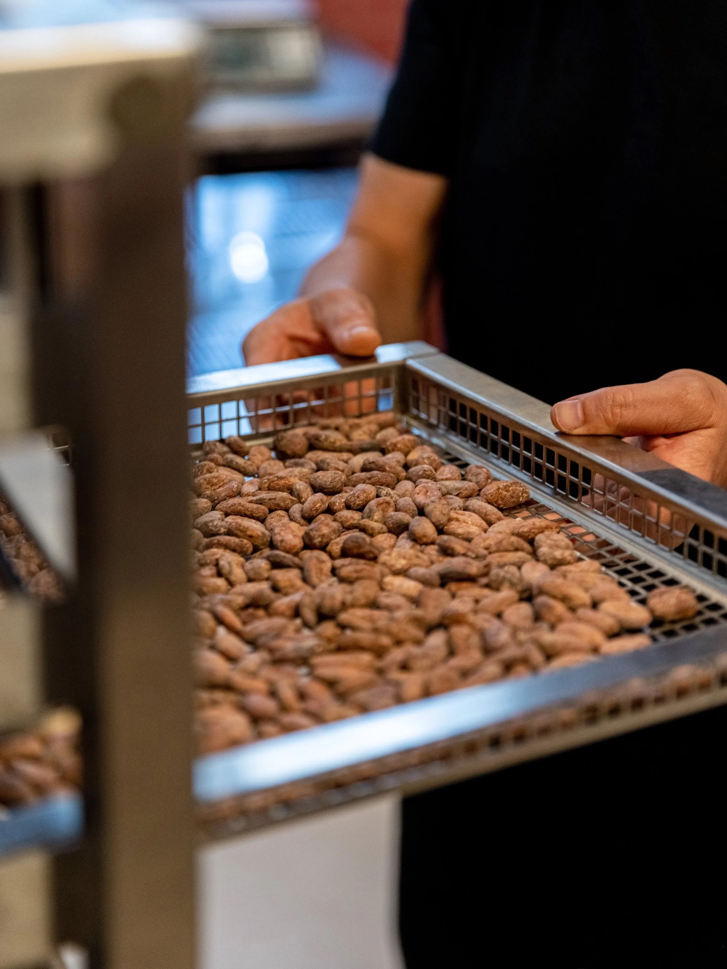 Bean-to-bar chocolate: what to look for