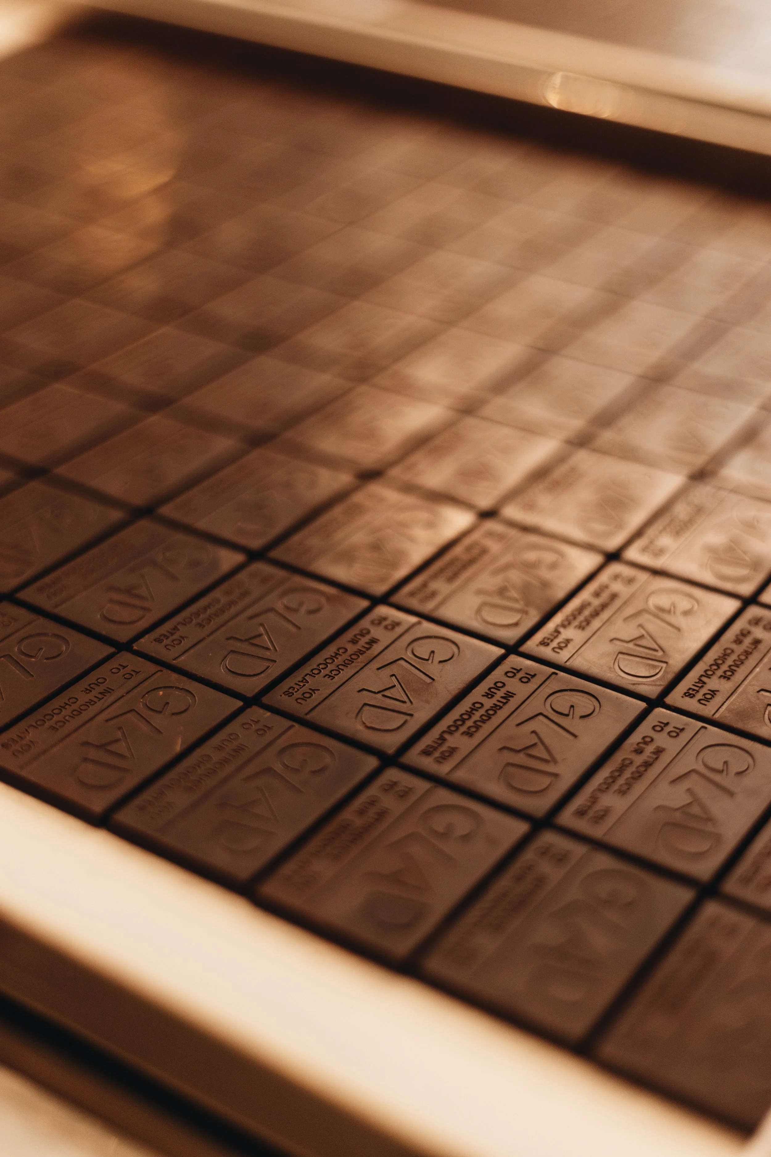 This Is Where Chocolate Begins