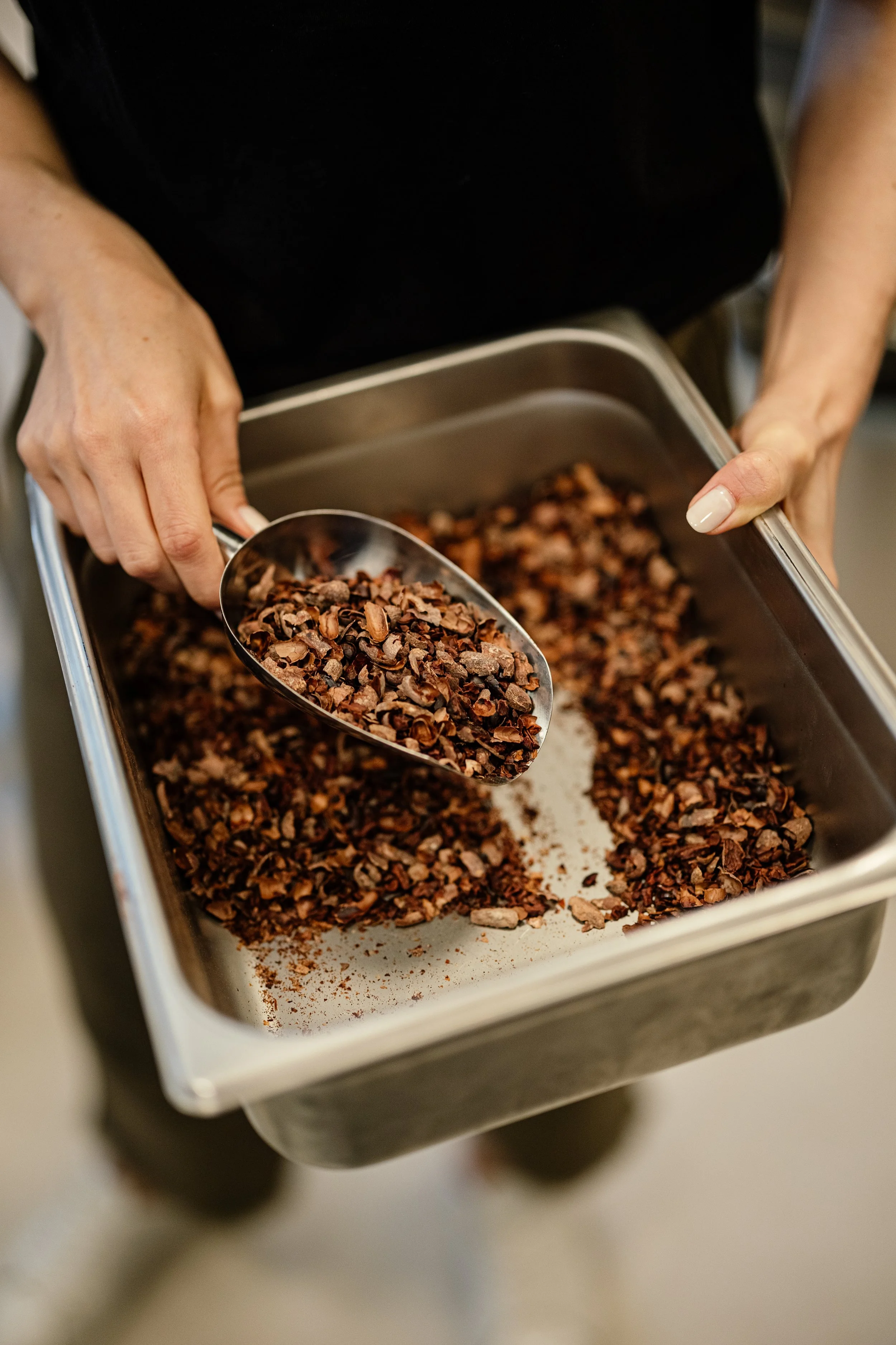 What Are Cacao Nibs?