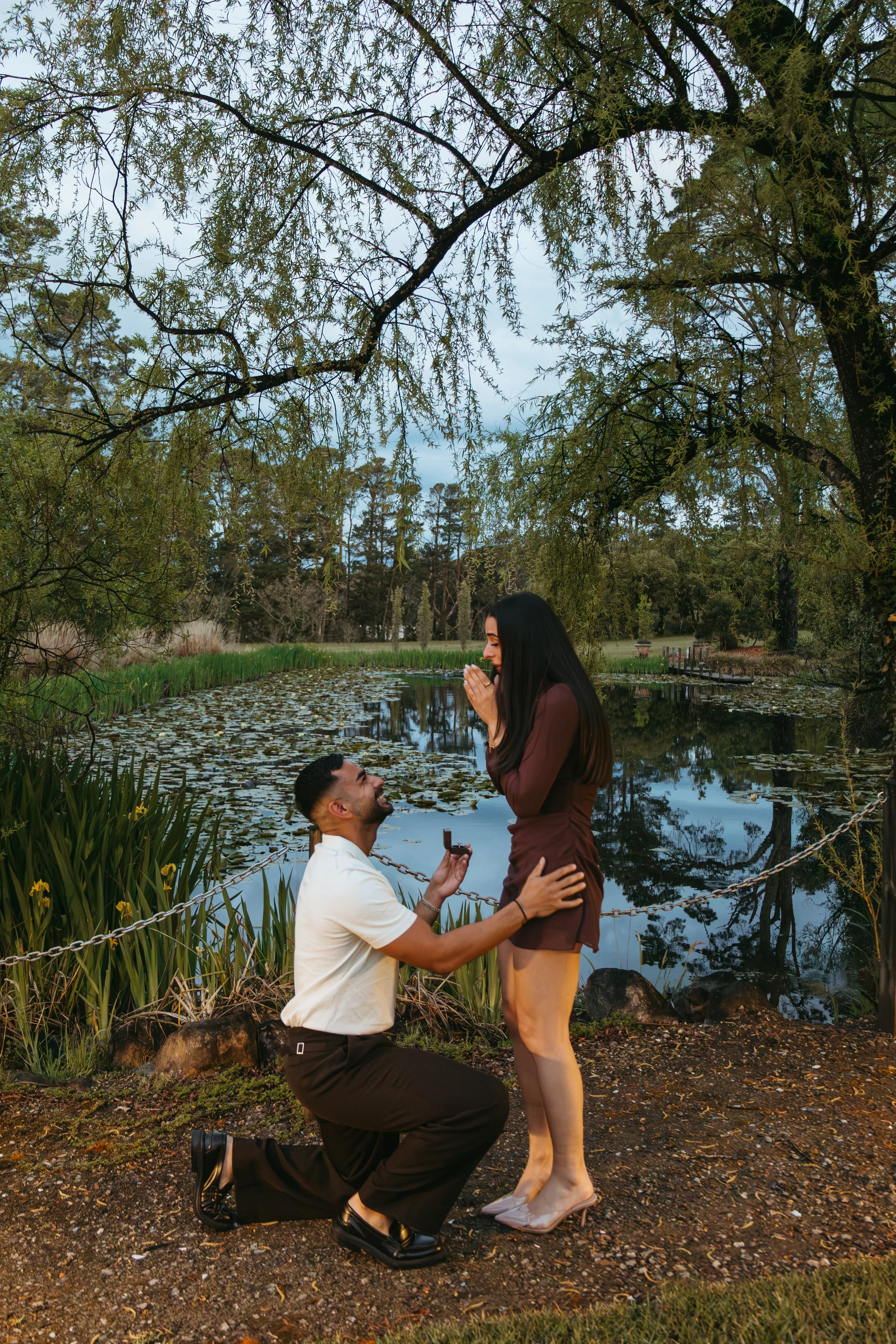 moavaproposal-15.jpg