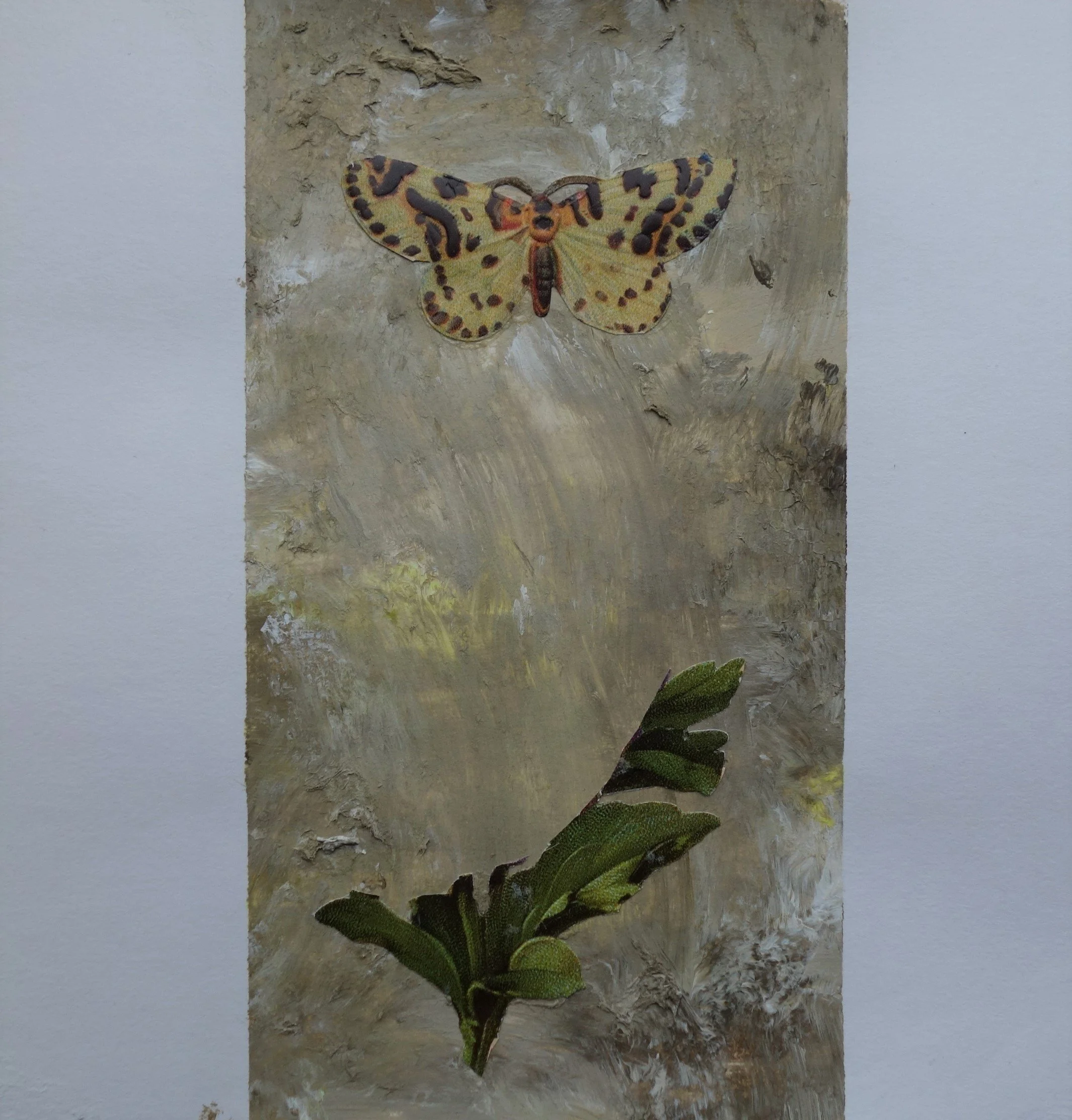  SOMMERFUGL NR 8. 2020 MIXED MEDIA PÅ PAPIR 16X16 CM 