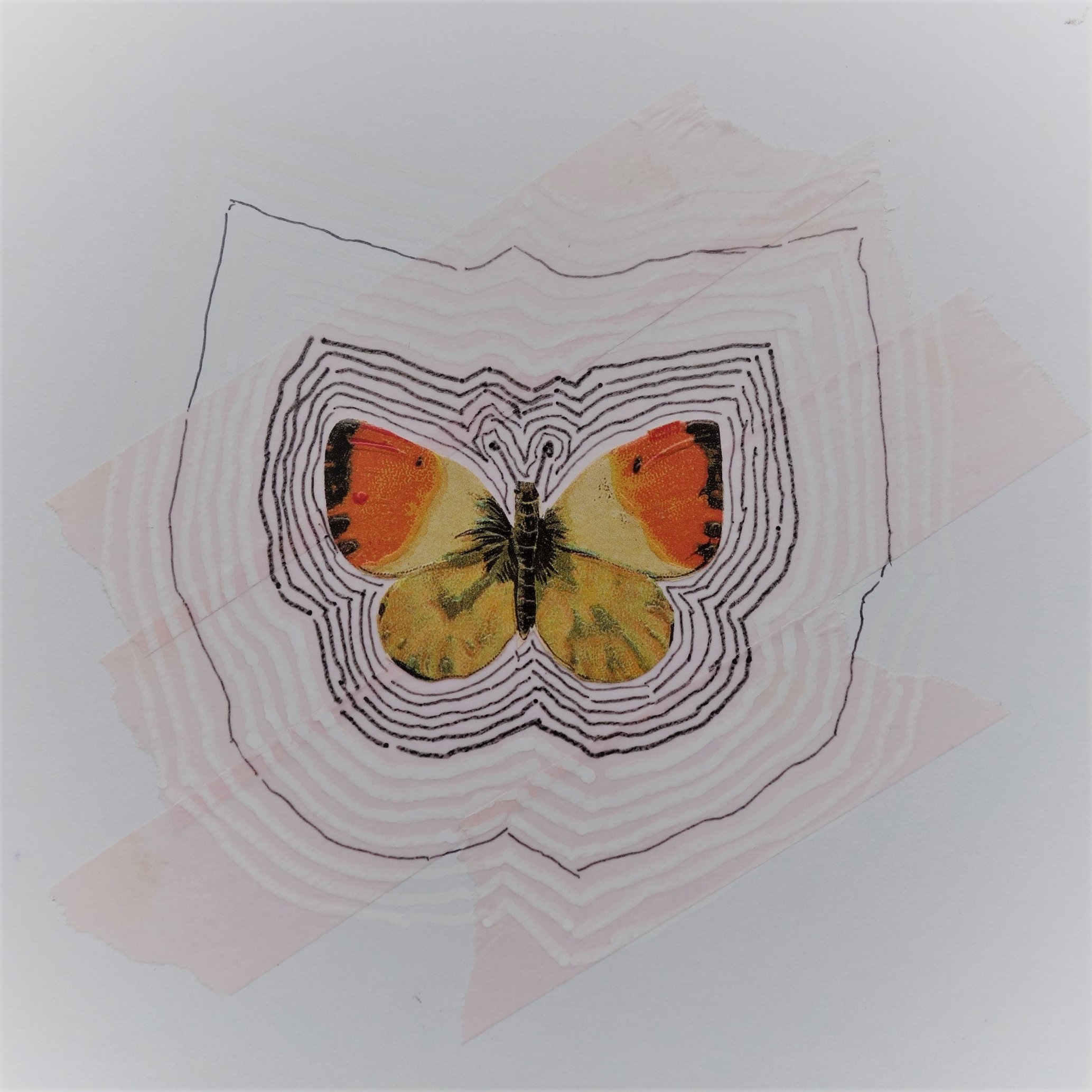  SOMMERFUGL NR 16. 2020 MIXED MEDIA PÅ PAPIR 16X16 CM 