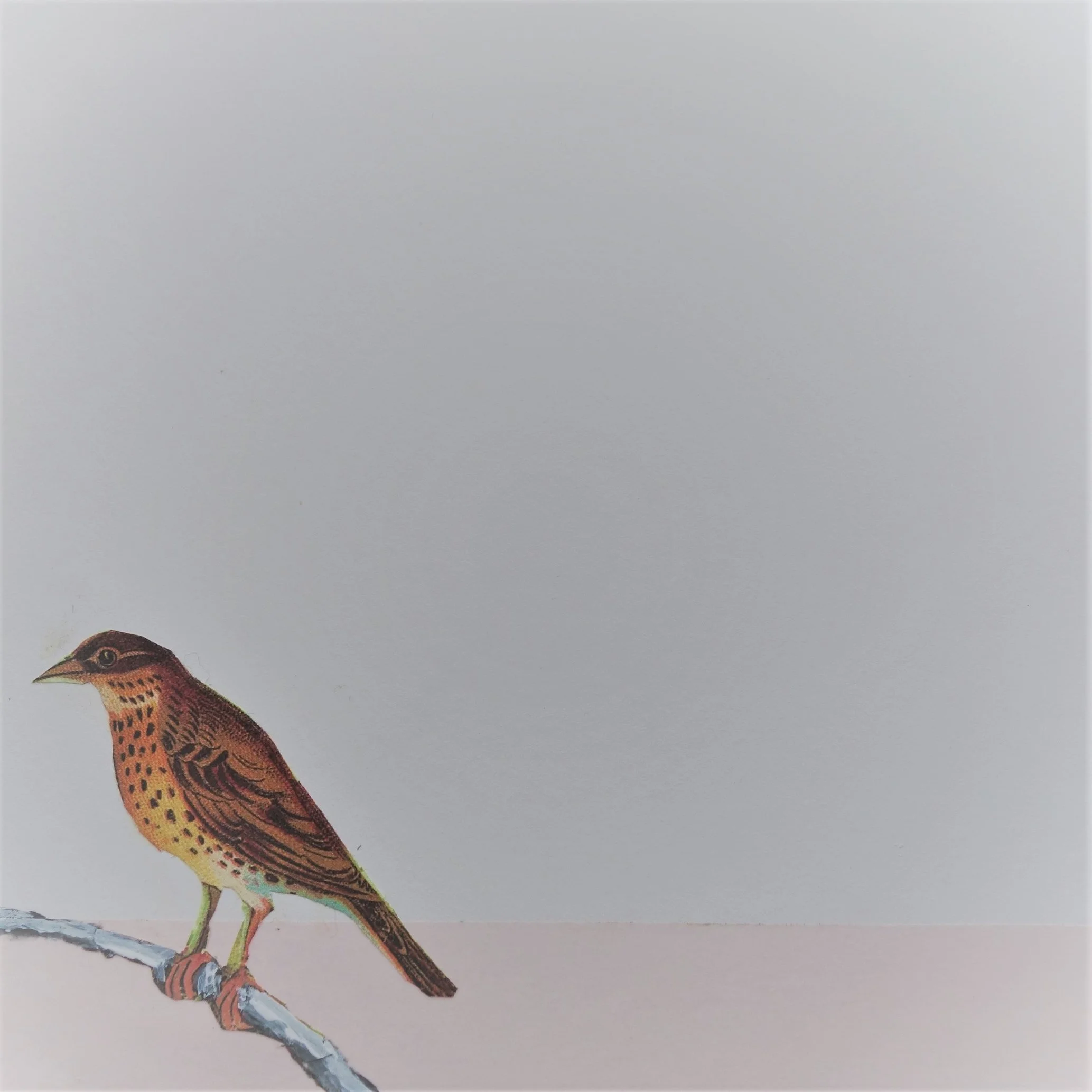  FUGL NR 9. 2020 MIXED MEDIA PÅ PAPIR 16X16 CM 