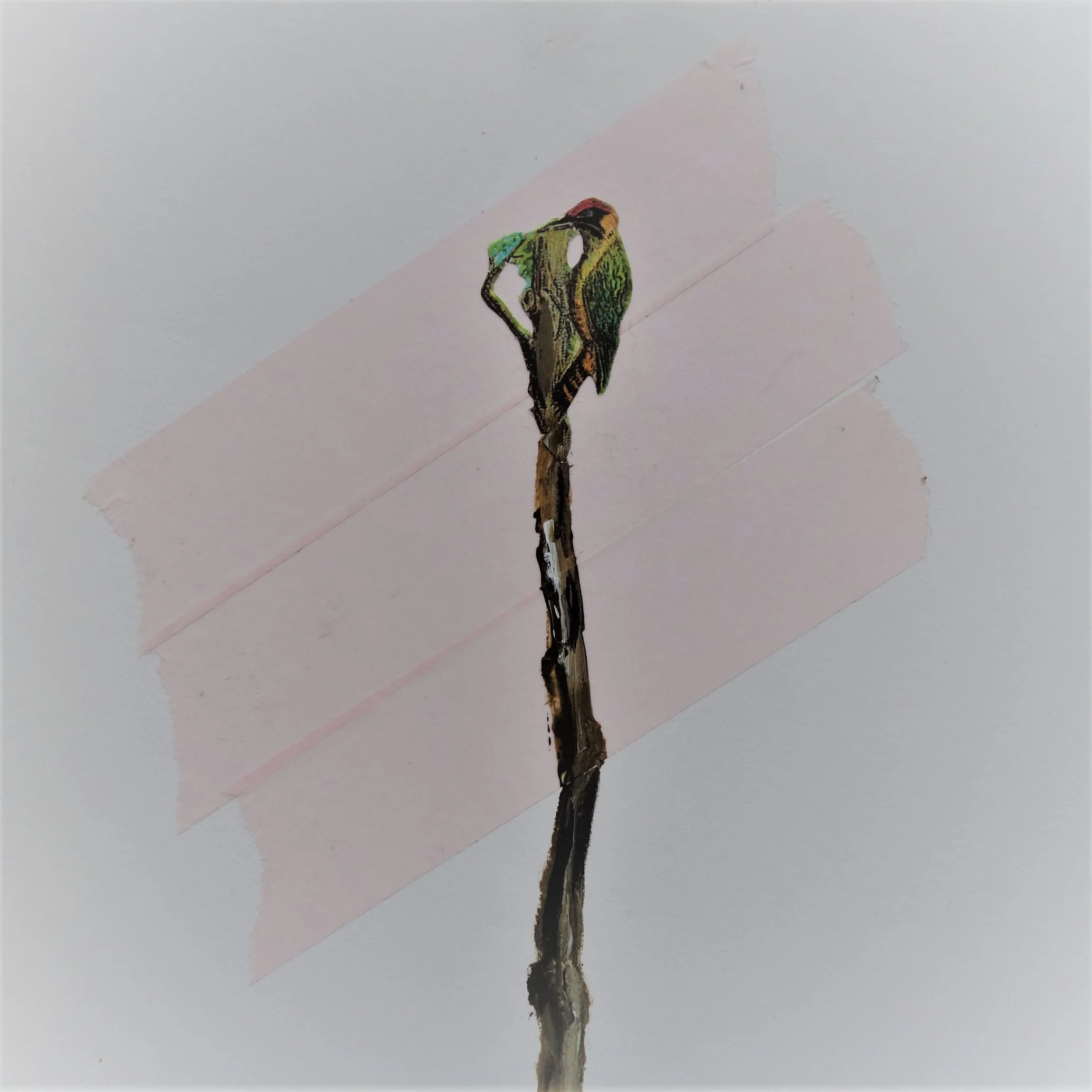  FUGL NR 5. 2020 MIXED MEDIA PÅ PAPIR 16X16 CM 