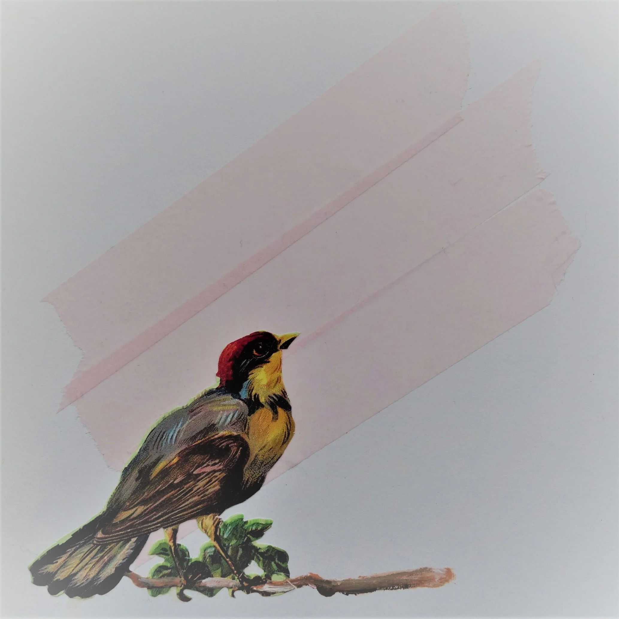  FUGL NR 1. 2020 MIXED MEDIA PÅ PAPIR 16X16 CM 