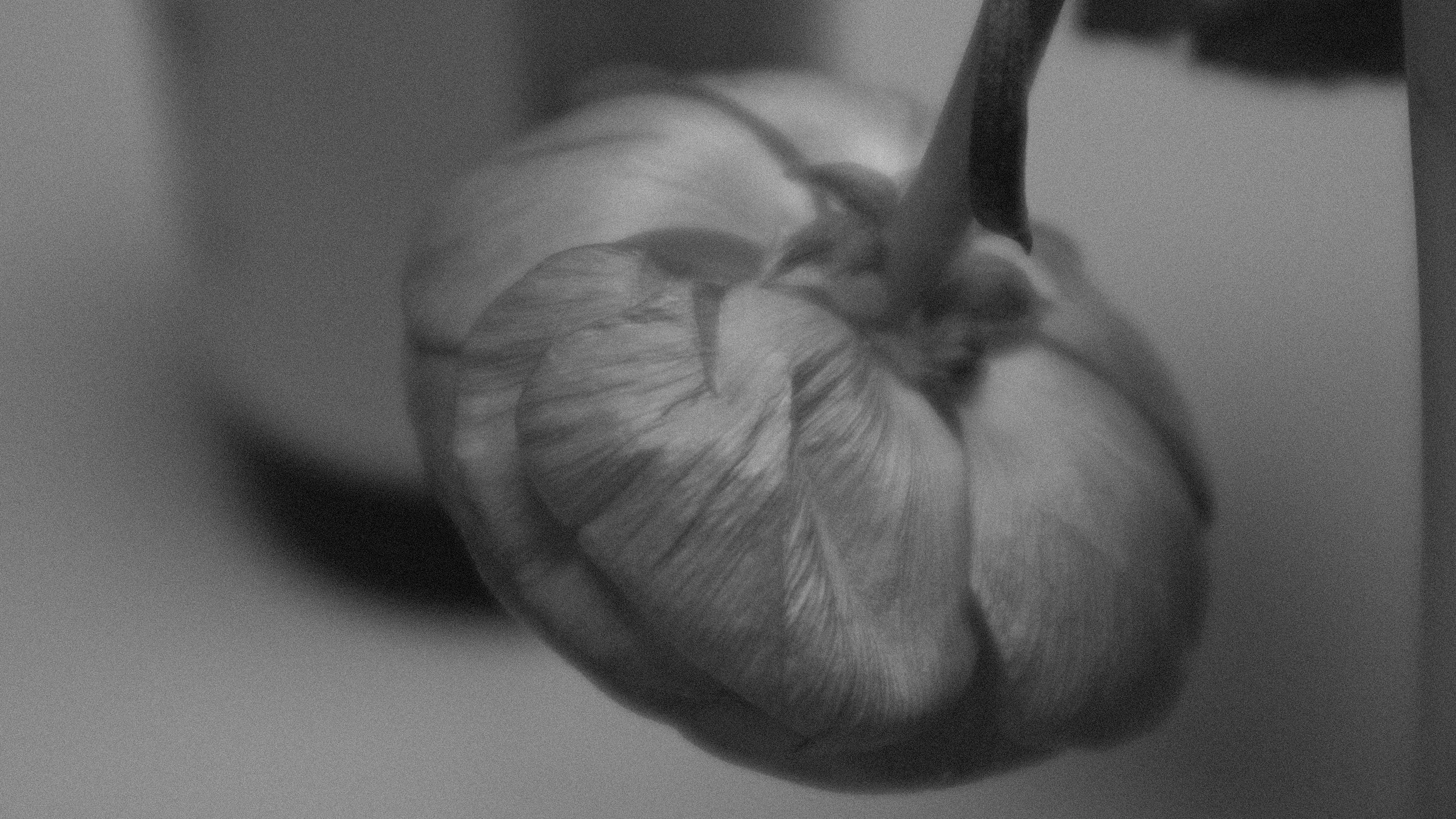  VALMUE NR 2. 2020 FOTO PÅ PAPIR 50X90CM 