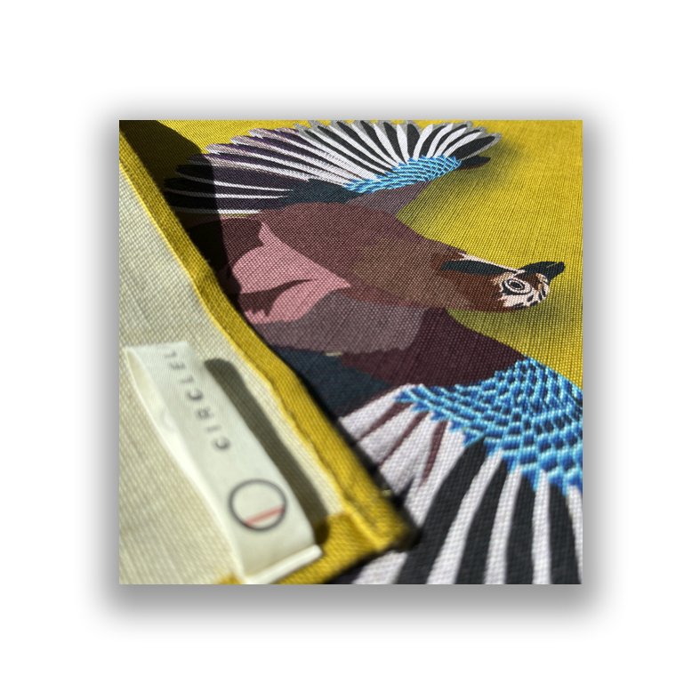 Website Thumbnail_2.jpg