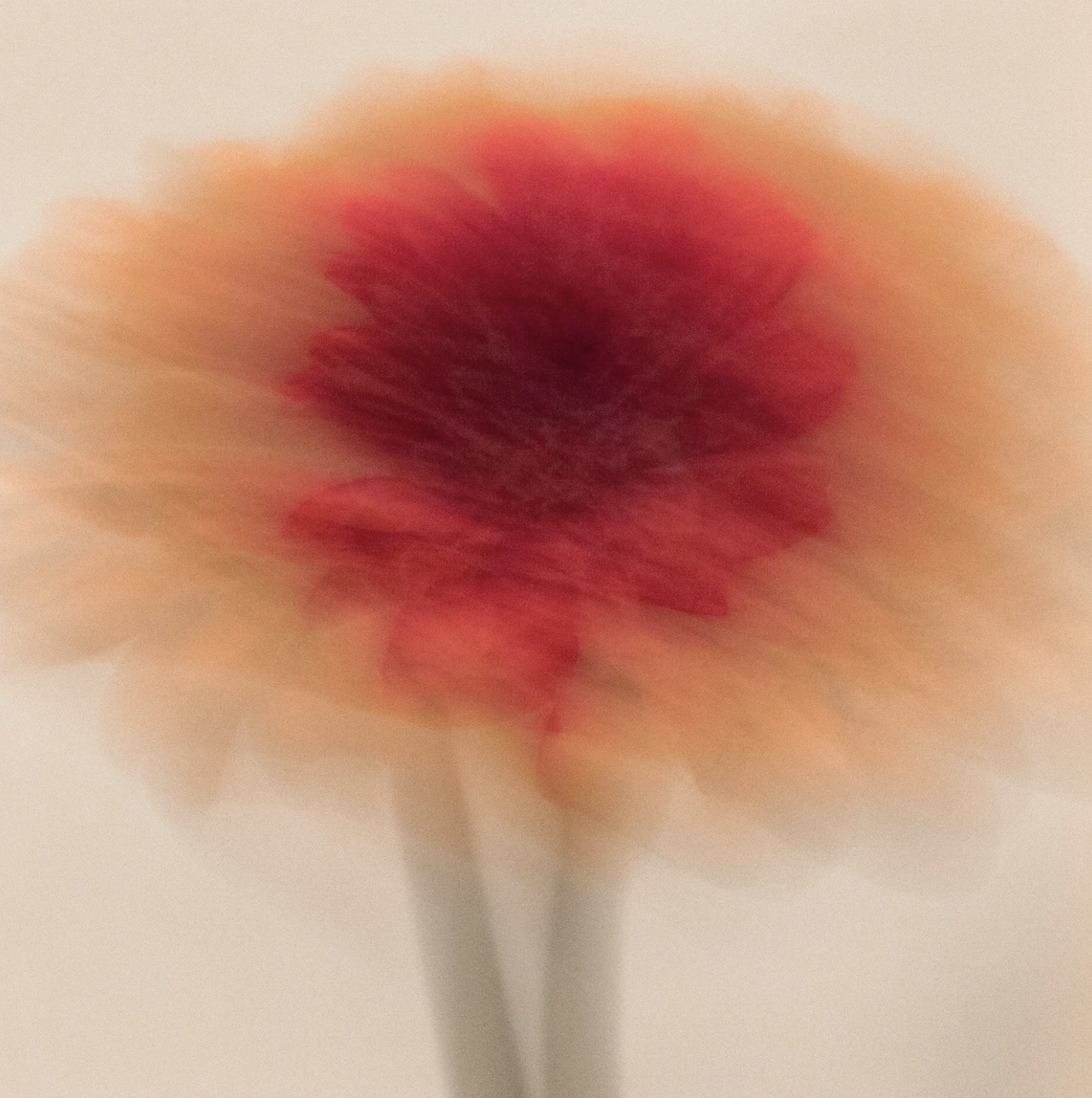 Japanese concept of ikigai and finding purpose for lasting weight loss