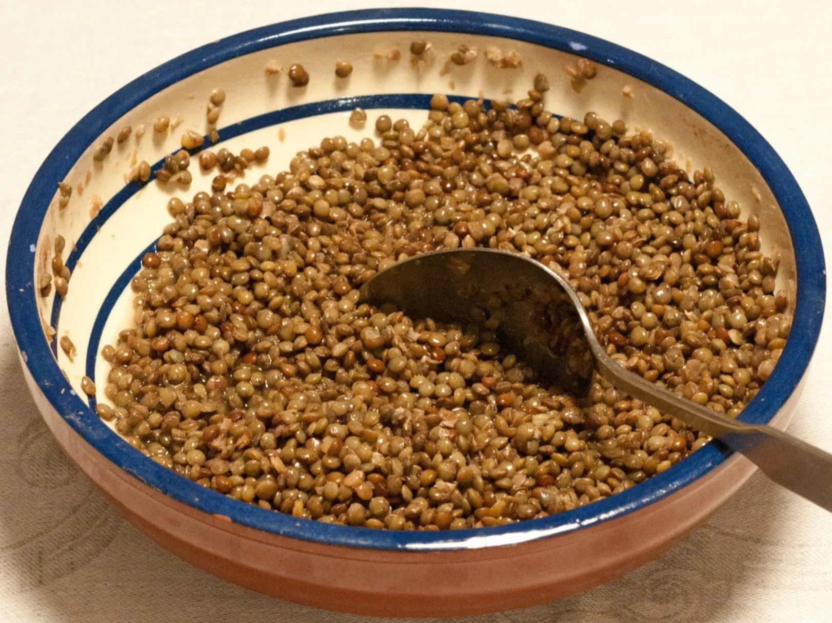 A bowl of cooked lentils