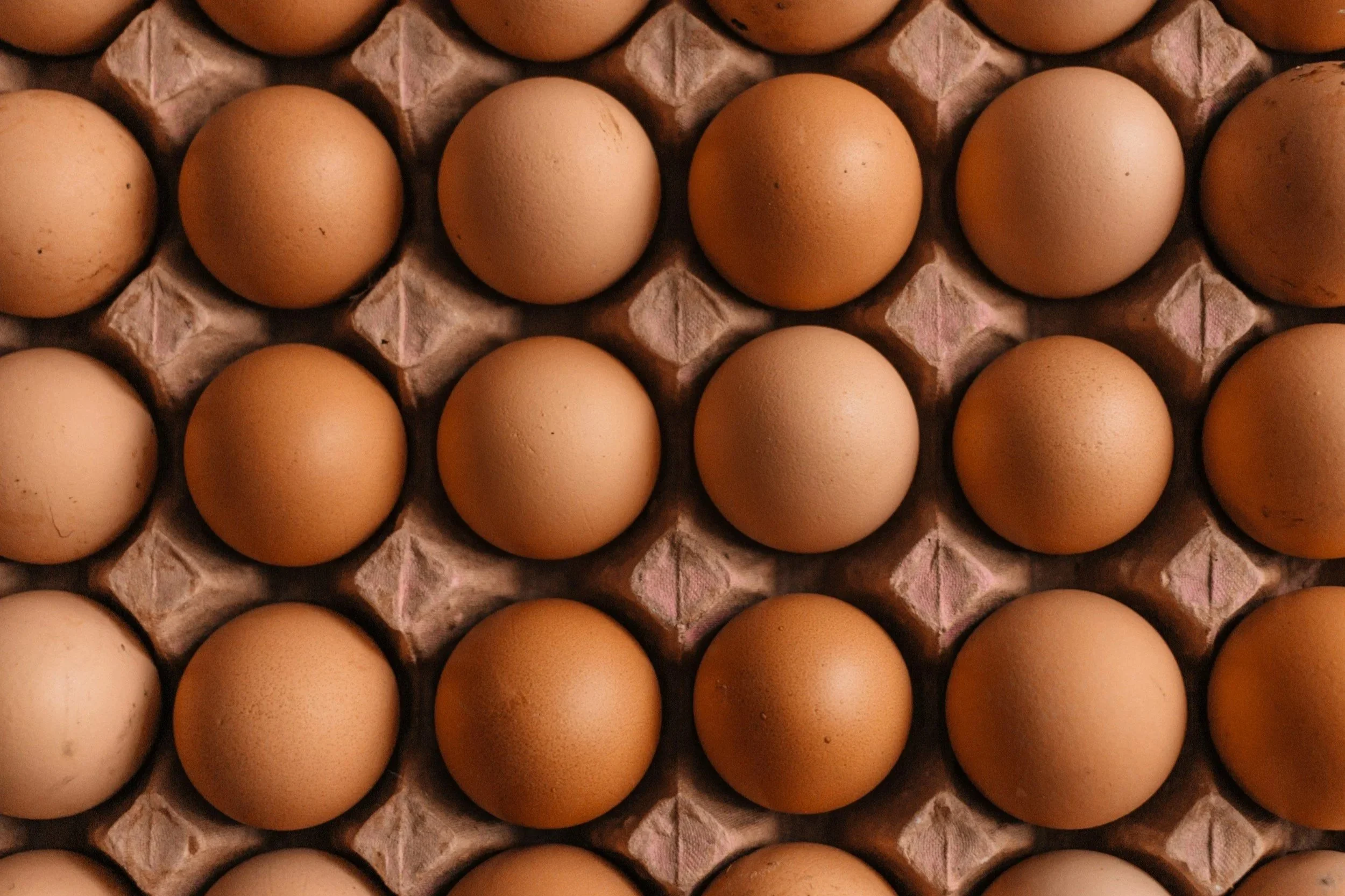 How Much Protein Do You Actually Need?