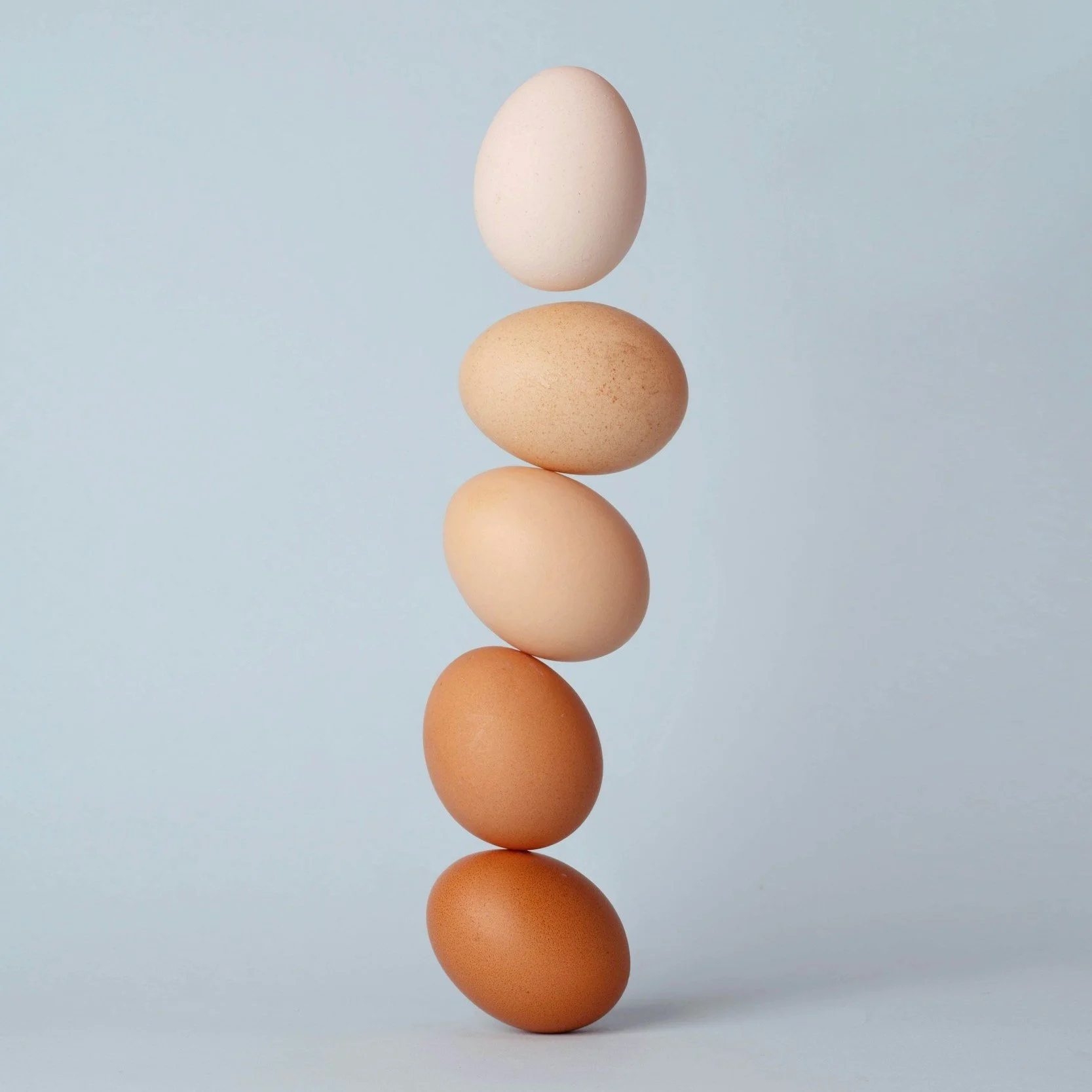 Weight loss myths you should toss for good | Eat Shed Glow®