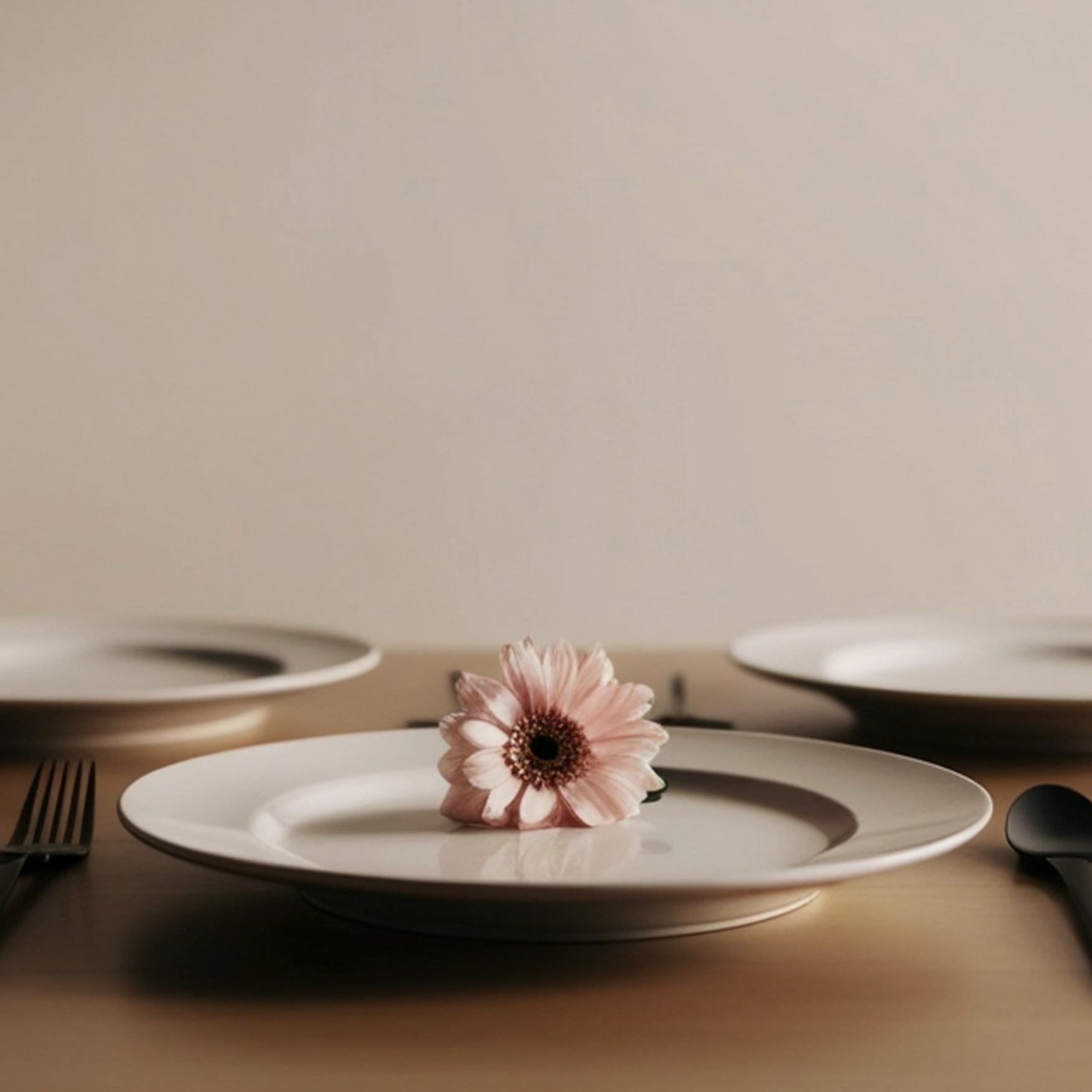 weight loss without dieting, calorie counting, or deprivation