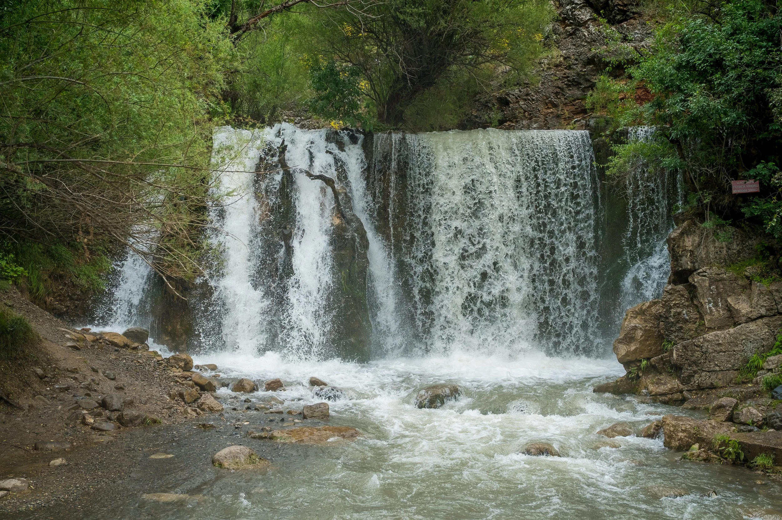 Z6N_6023.JPG
