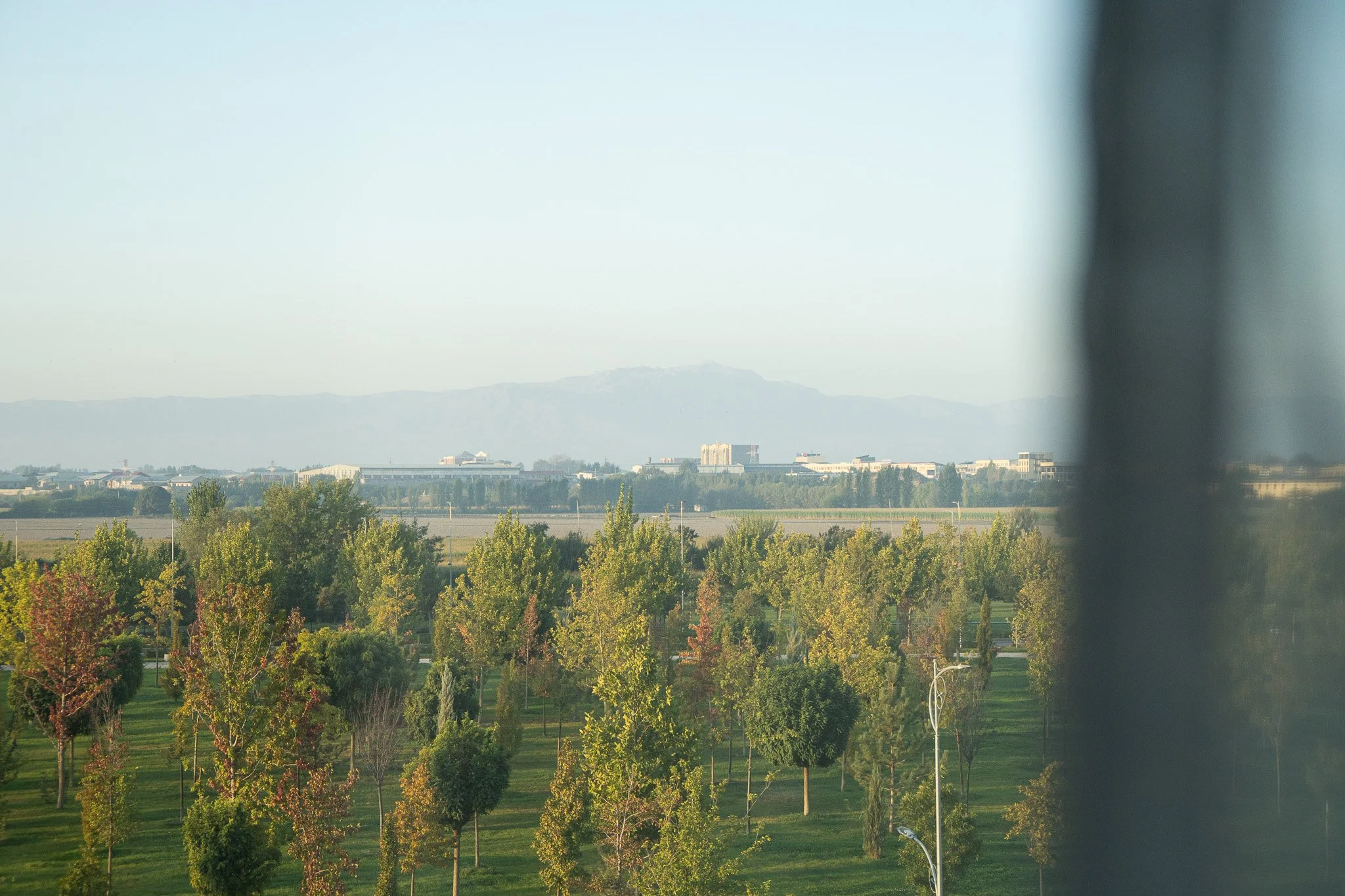 DSC05946.jpg
