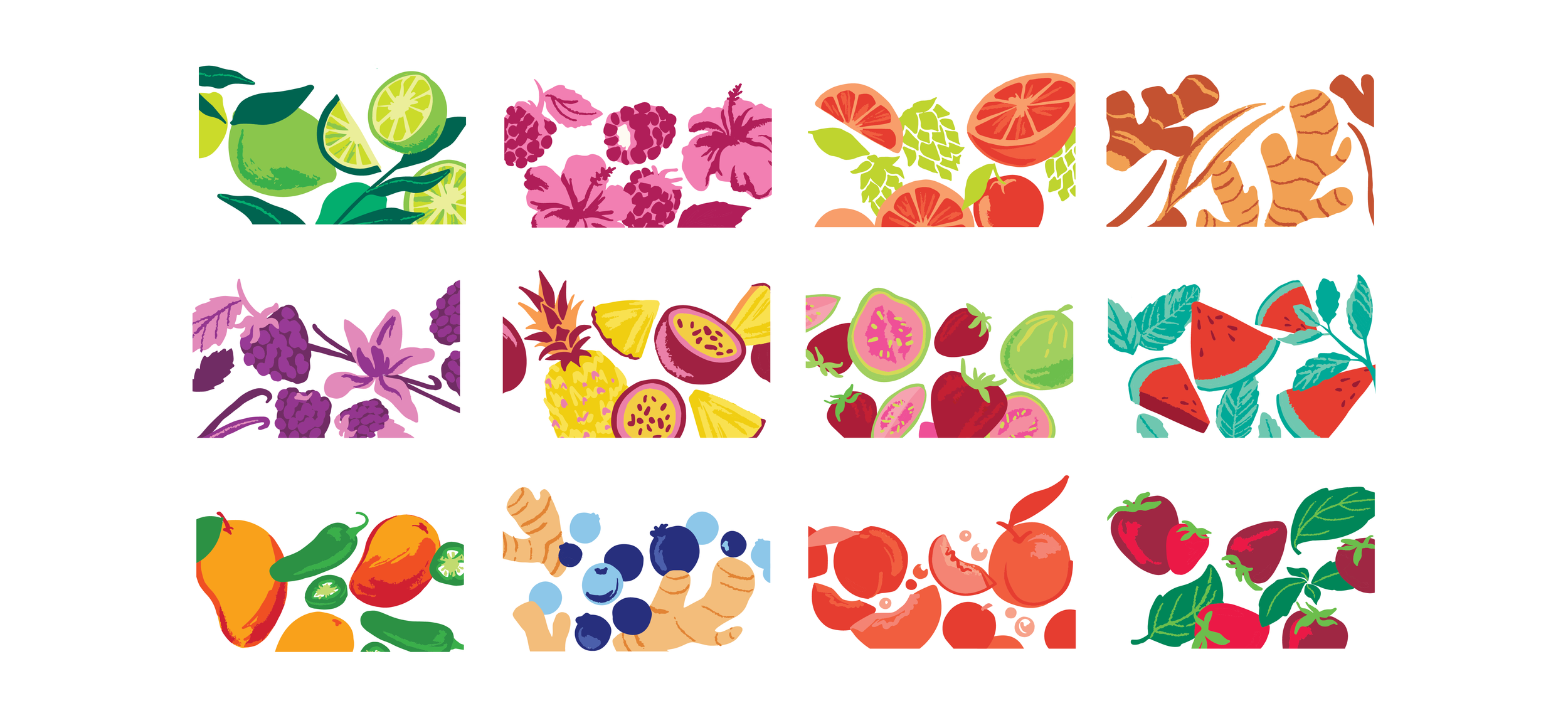 Kombucha Illustrations-01.png