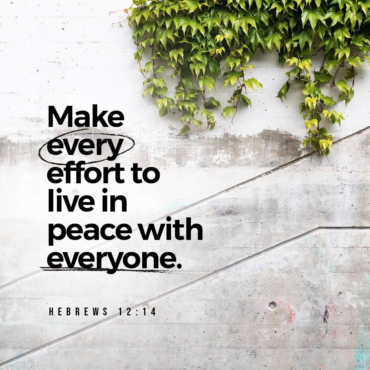 How do we make every effort to live in peace with everyone?

We extend kindness, grace, and speak truth with love.

We serve others. We turn the other cheek. We hold our tongue from a sharp retort.

We listen more than we speak. We pray before we res