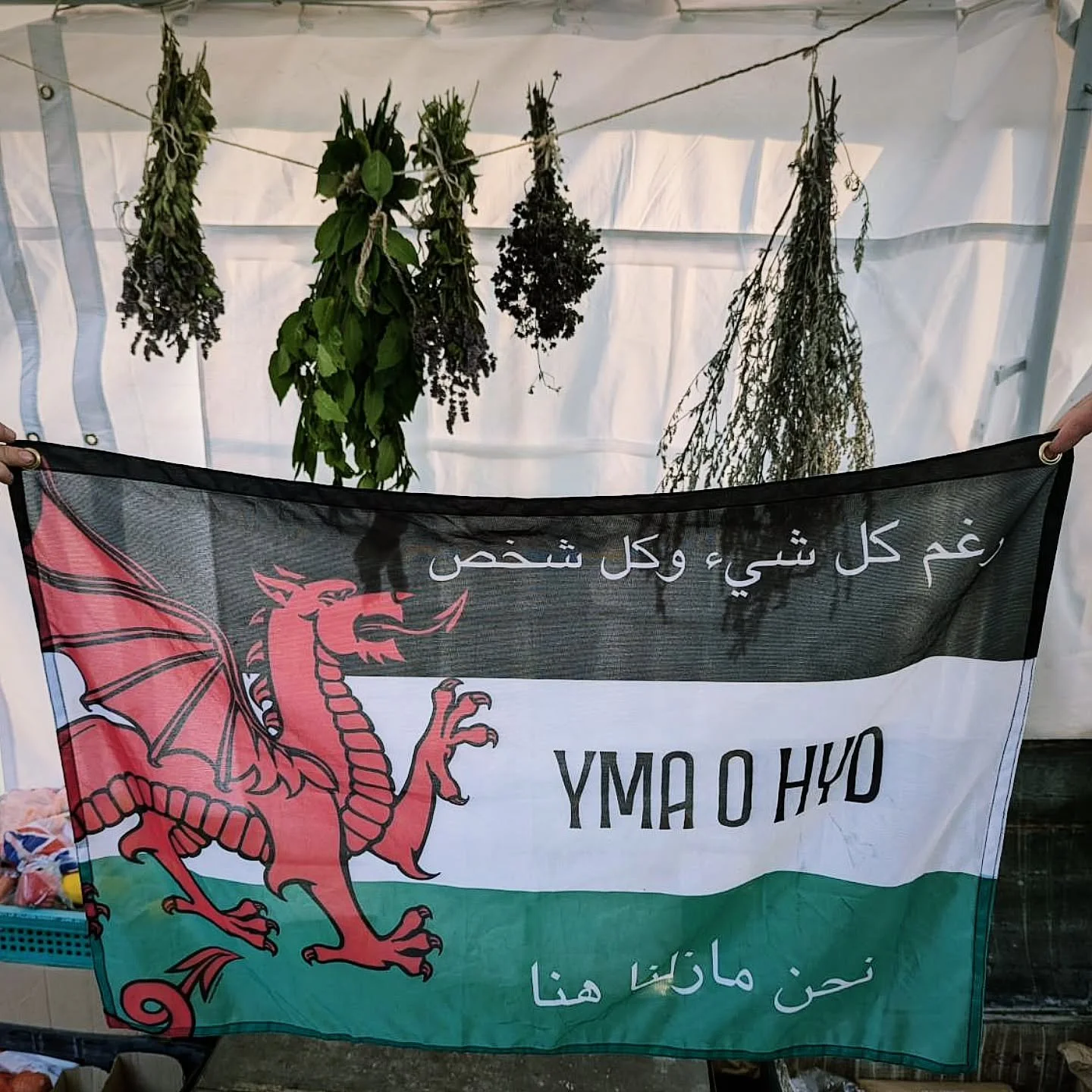 AFF is a zionist-free zone. Down with all racists and colonisers! Free Palestine, unconditionally and unequivocally, from the river to the sea.
Mae AFF yn barth rhydd o Seioniaid. I lawr gyda phob hiliwr a gwladychwr! Rhyddhewch Balesteina, yn ddiam