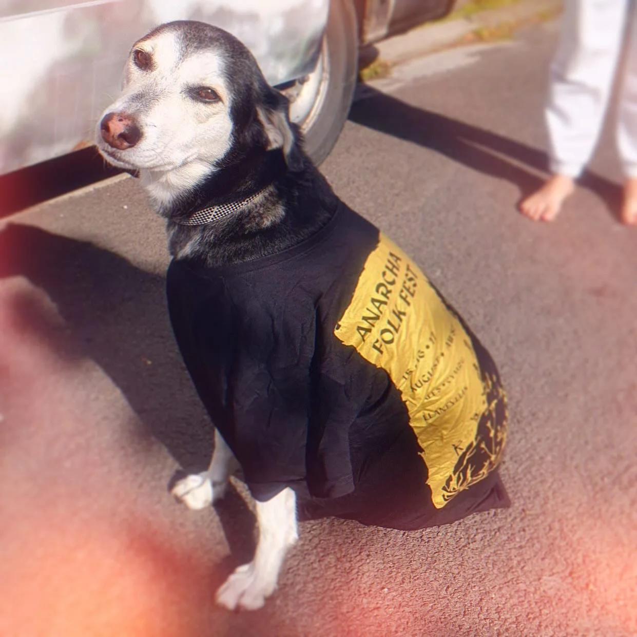 TSHIRT PREORDER UPDATE 💌

Thanks to everyone who ordered merch after the festival, there were some delays but we&rsquo;ll recieve the new tshirts in around a week&rsquo;s time and will aim to get them posted out within another week! 

So for those i