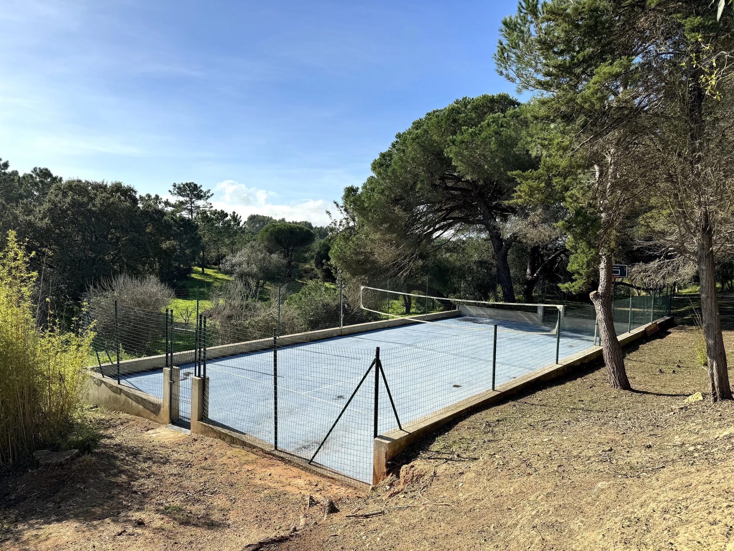 Empty outdoor tennis court surrounded by trees and fencing on a sunny day.
