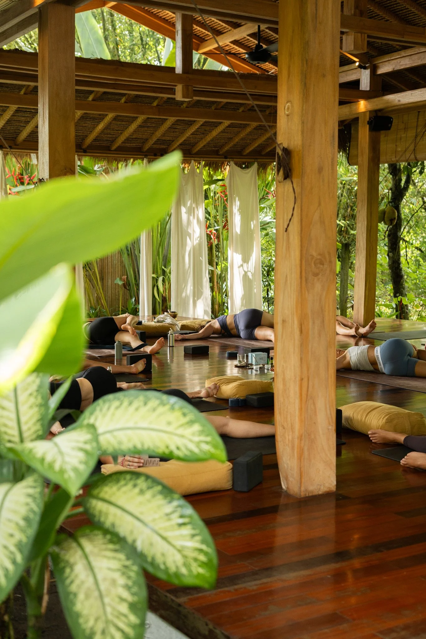 People practicing yoga on mats inside a wooden open-air structure surrounded by lush greenery.