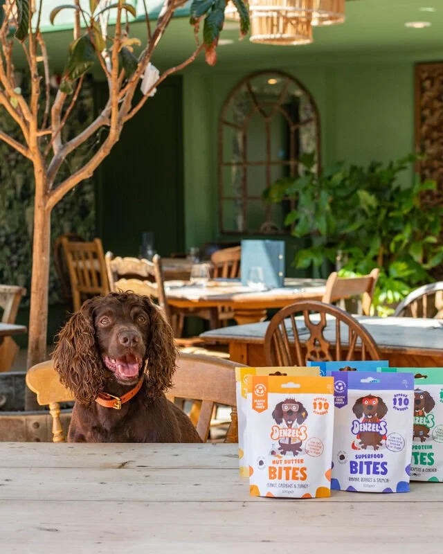 DENZEL'S APPOINTS STIR PR TO FETCH THE LIMELIGHT FOR SUSTAINABLE DOG TREATS