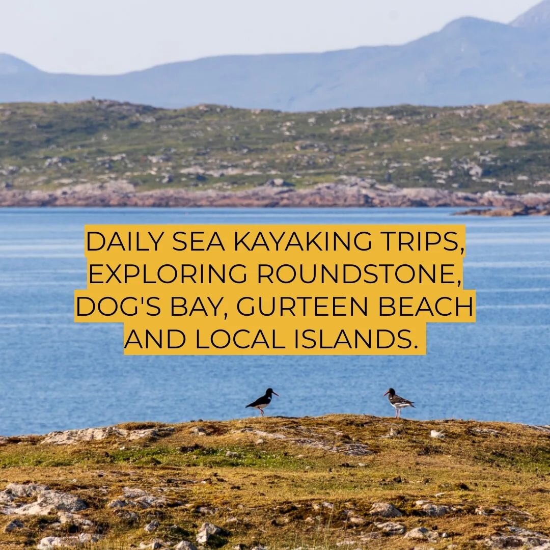 Experience the wild and beautiful coastline of Roundstone, Dog's Bay, Gurteen and local islands by sea kayak. 

Taking in the view from yesterday's paddle, watching the Oystercatchers and their young.

Online booking available via link in bio.

#roun