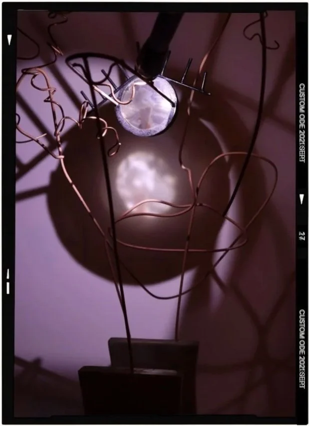 My Life Under The Loupe - Self Portrait