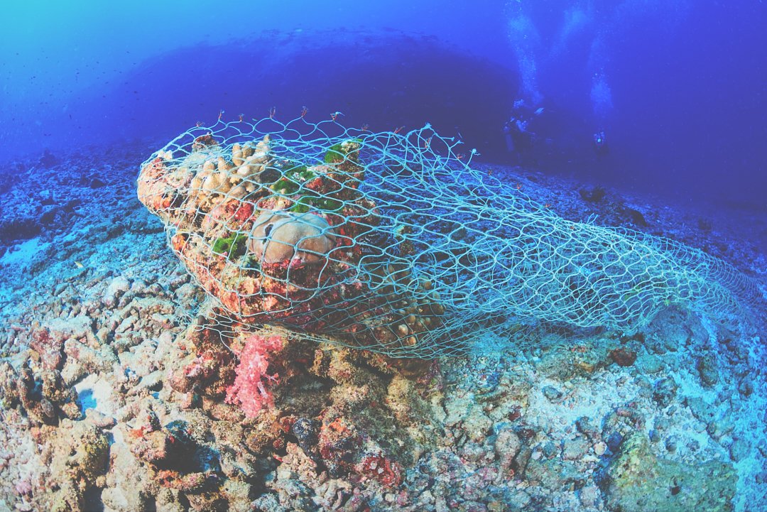 Plastic pollution on the world's coral reefs