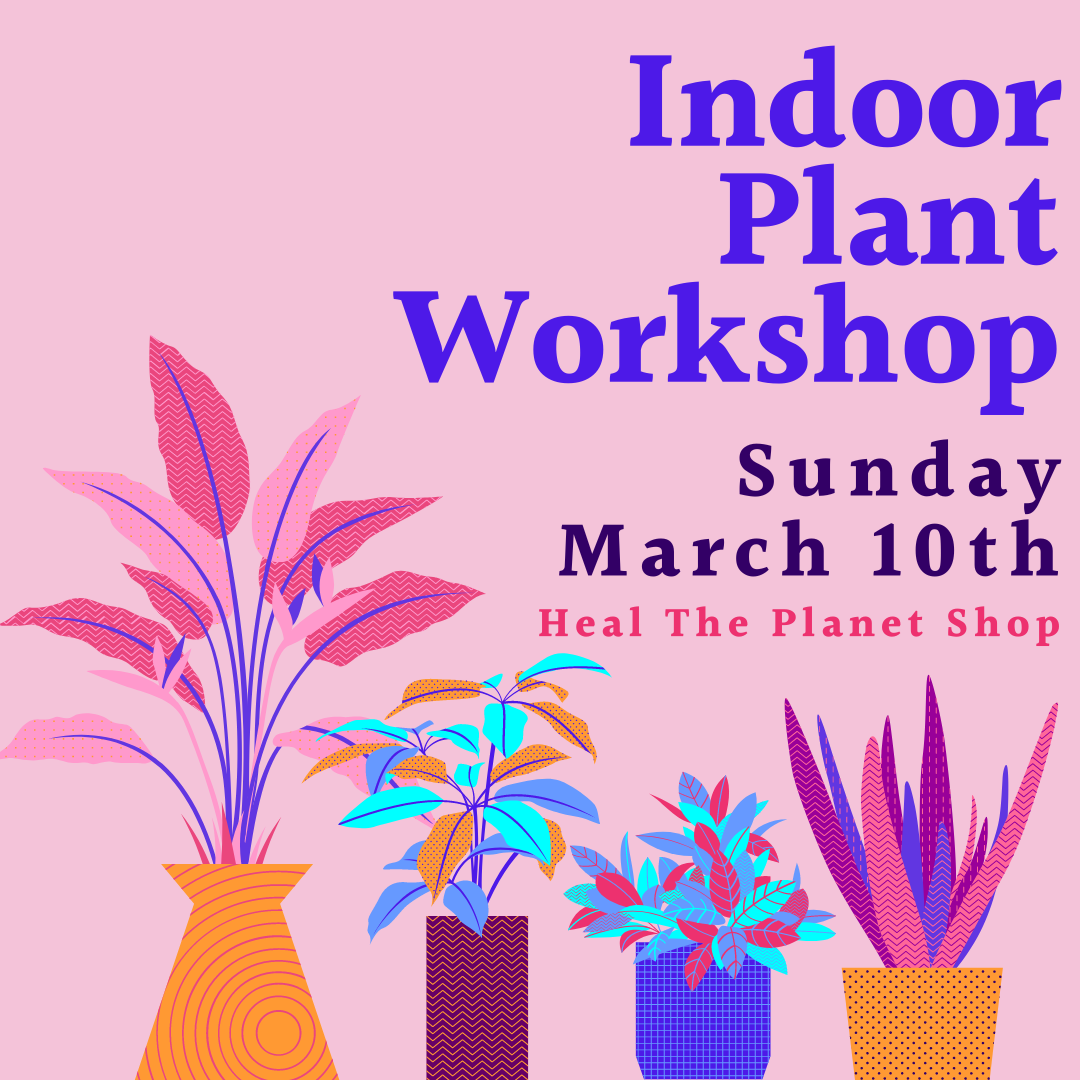 Indoor Plant Workshop