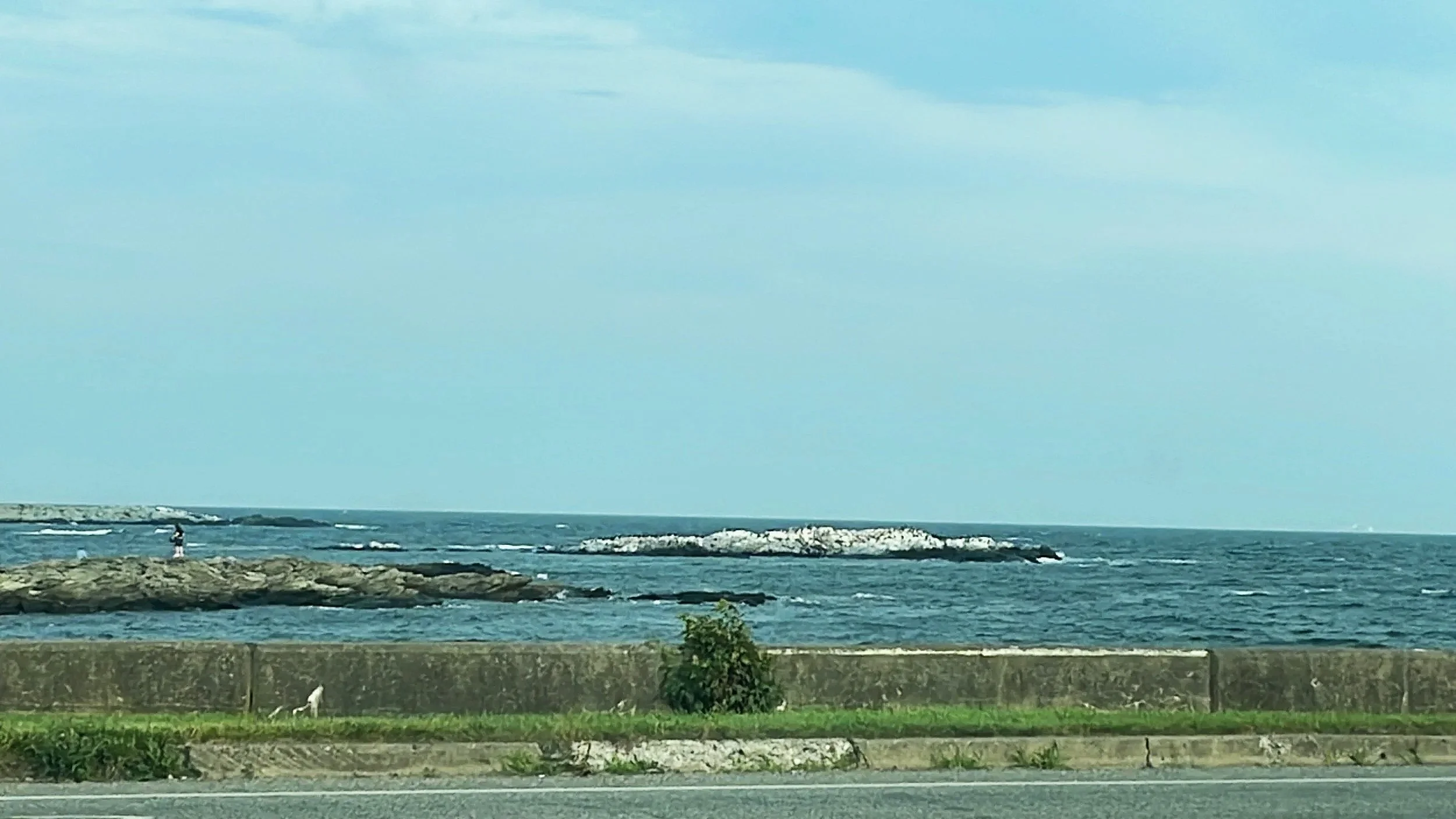 5 R’s That Can Help Leaders Renew