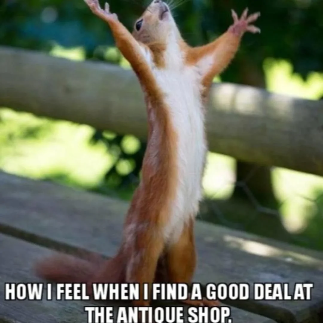 💘 ANTIQUE + VINTAGE SHOPPING THIS WEEKEND FOR THE WIN!!! 🛍 Come see us in the Catskills, Babes!!! 💫✨️...
#jeffersonvilleny #antiqueshop #vintageshop 
...
AND -
Lamp sale, 50% off, say you saw it here and get an EXTRA deal!!! ...
...
SHOP @vintageh