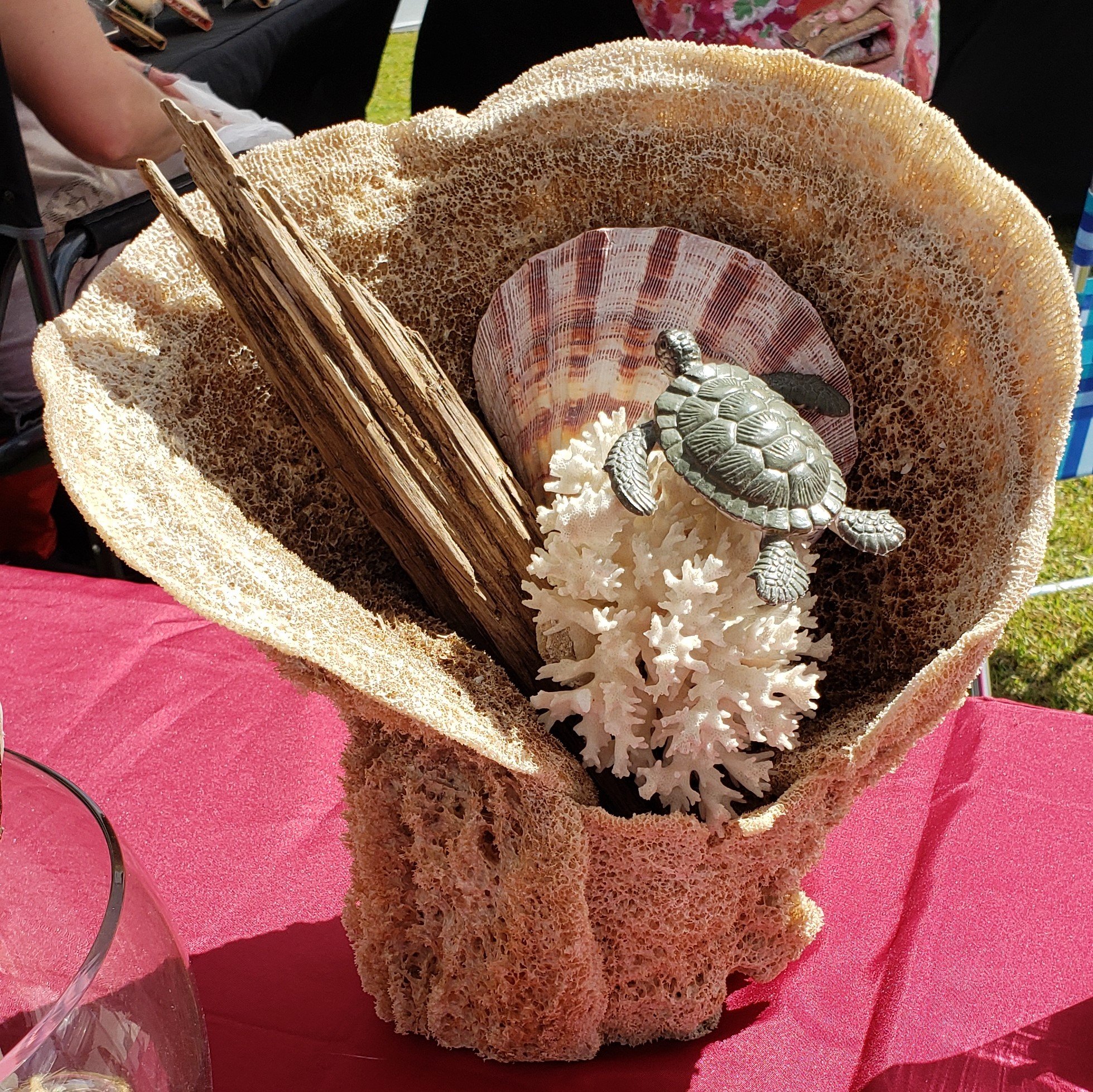 Sea Sponge w/ shells