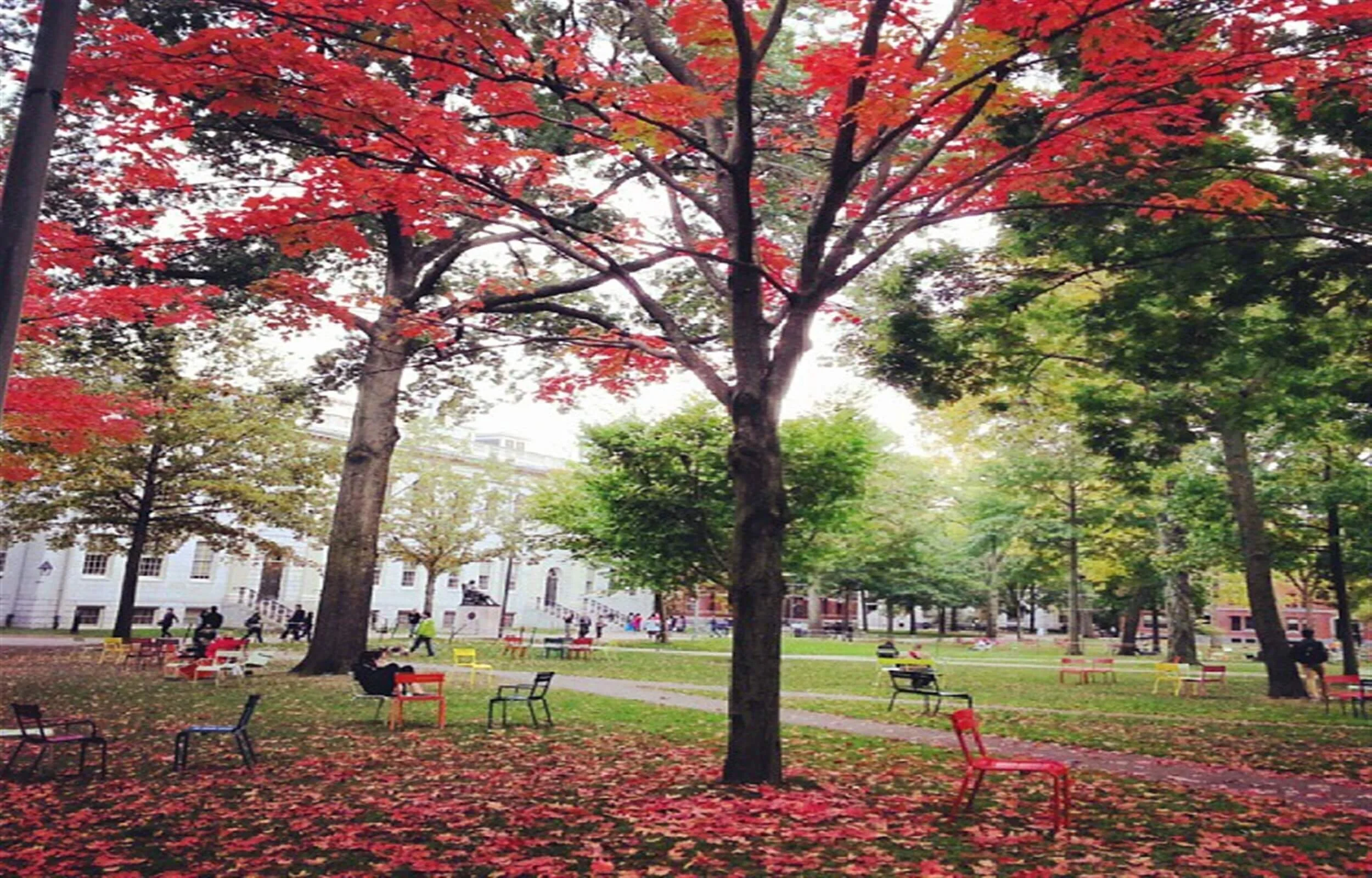 How Entrepreneurs in the US Can Increase Profits in their Small Businesses