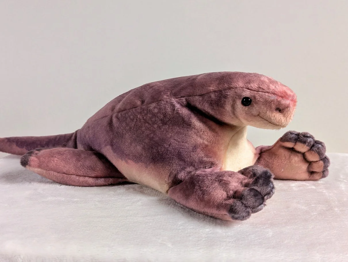 PXL_20251215_104040467 (1).jpg