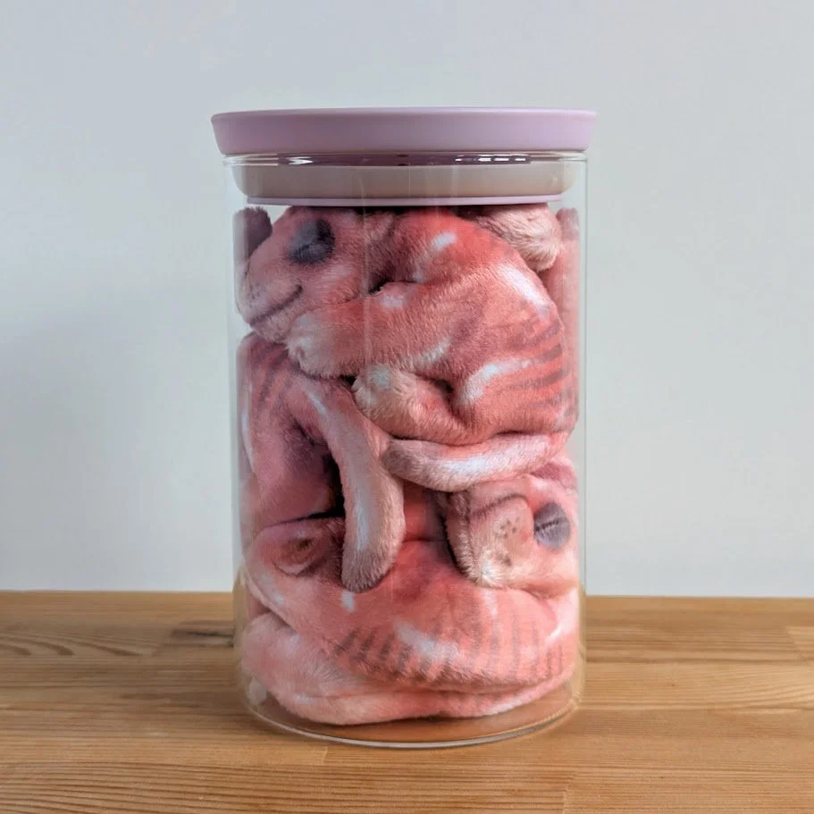 PXL_20251215_103749839 (1).jpg