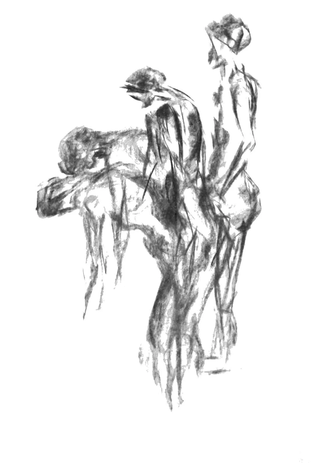 Forward fold, charcoal on paper