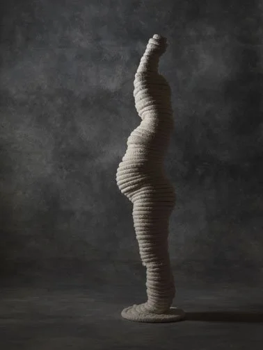 Emergence: Cacoon_PC Cary Wolinsky