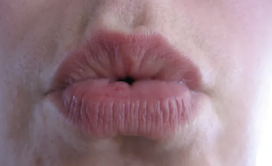 Oodles of Whistling Tips: Lip Licking, Labial Stops, Hikifuki and Kissing