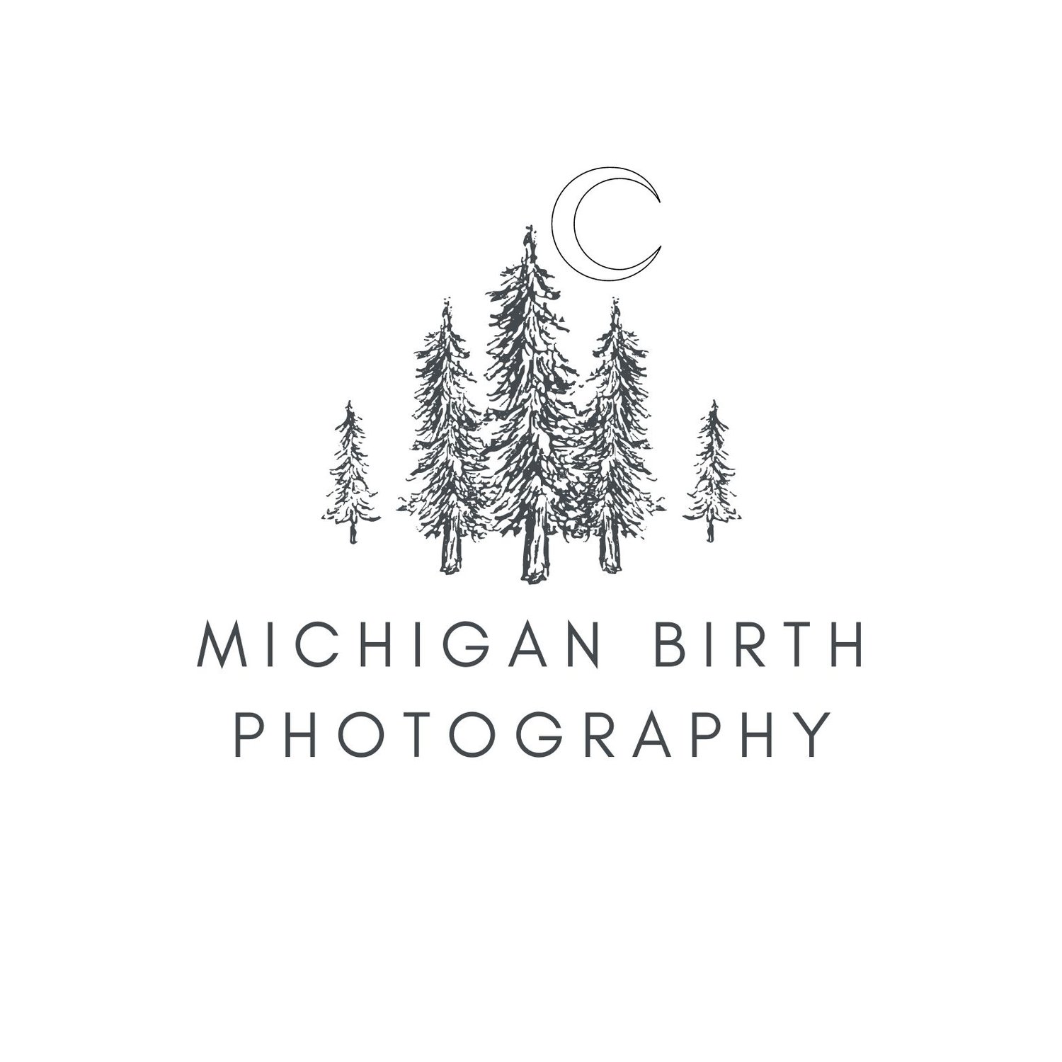 Michigan Birth Photographers