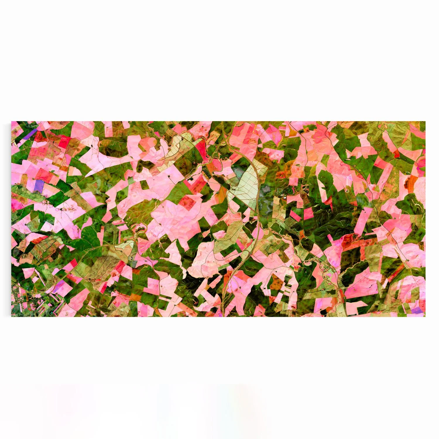 CORDOBA ANDALUS (Andalucía, Spain)