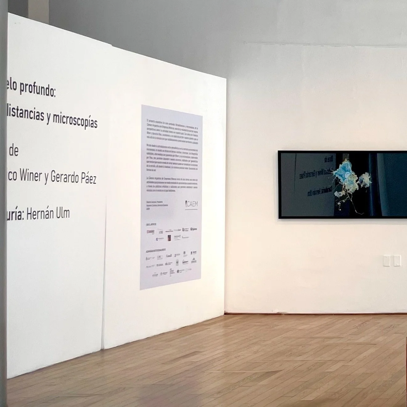 The exhibition &lsquo;A Deep Sky: Ultradistances and Microscopies&rsquo; was inaugurated at the Museum of Contemporary Art in Salta @macsaltamuseo_ . Sponsored by @camaramineraarg and curated by Hernan Ulm @hernanulm ,my satellite works from the &lsq