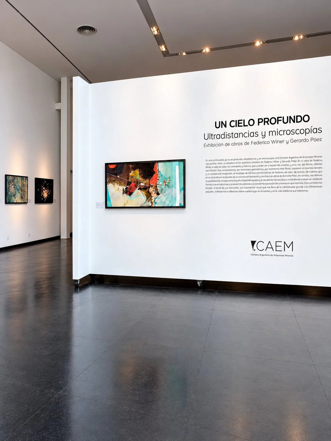 Art exhibit titled 'Un Cielo Profundo' featuring ultradimensional and microscopic artwork by Federico Winer and Gerardo Páez, displayed in a gallery with white walls and cubic designs.