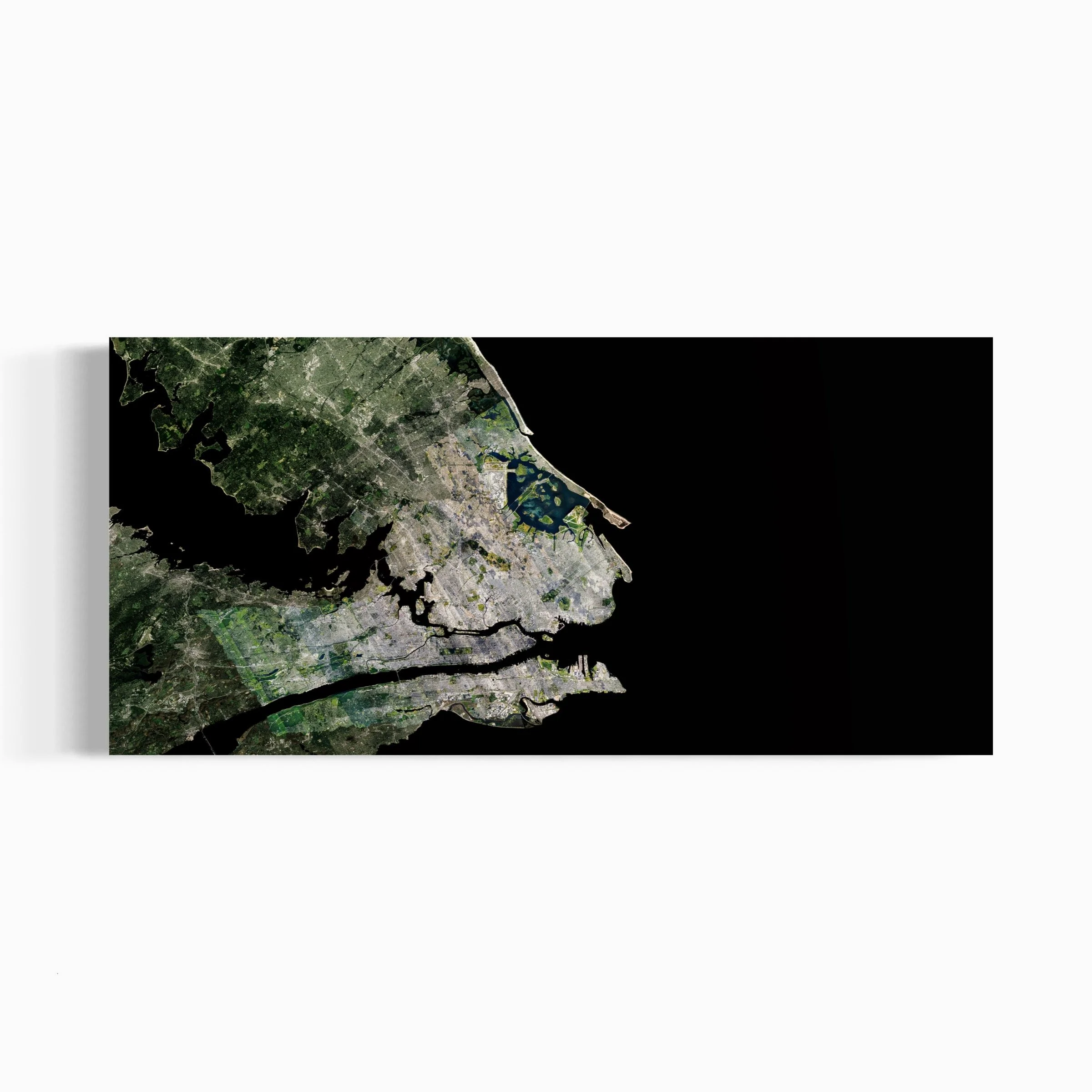 NEW YORK ALIEN FACE