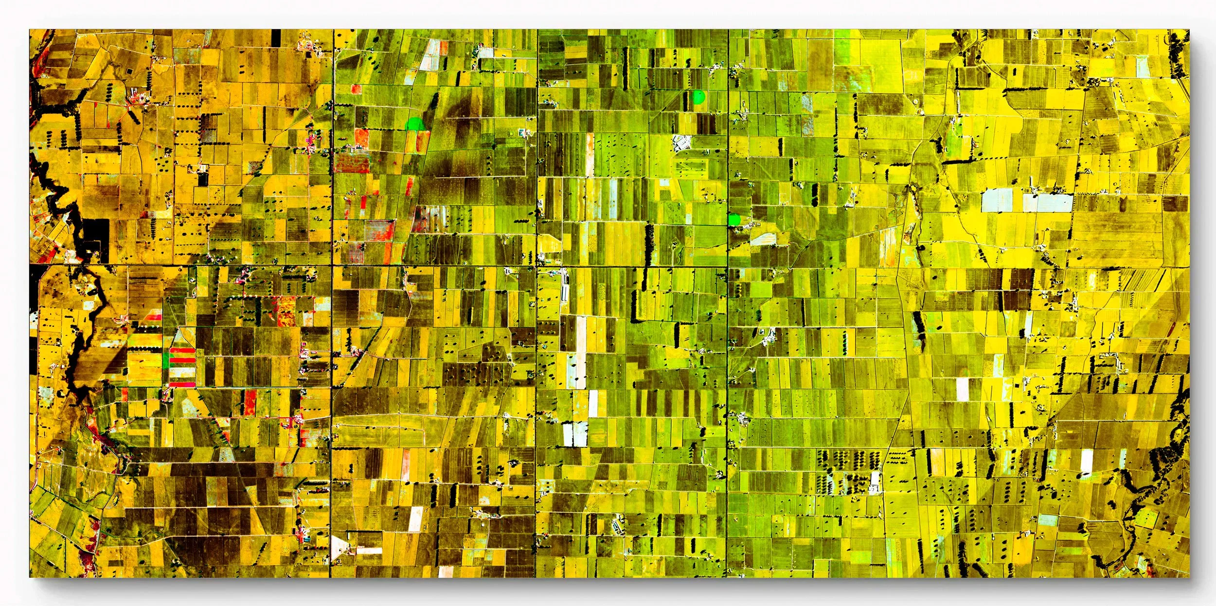 MORRINSVILLE

Waikato, New Zealand