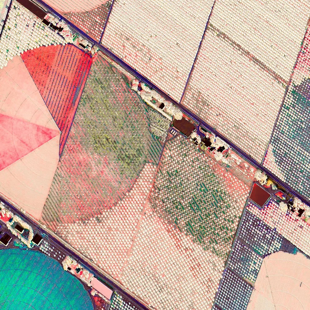 Aerial view of agricultural fields with various colors and crops in a patchwork pattern.