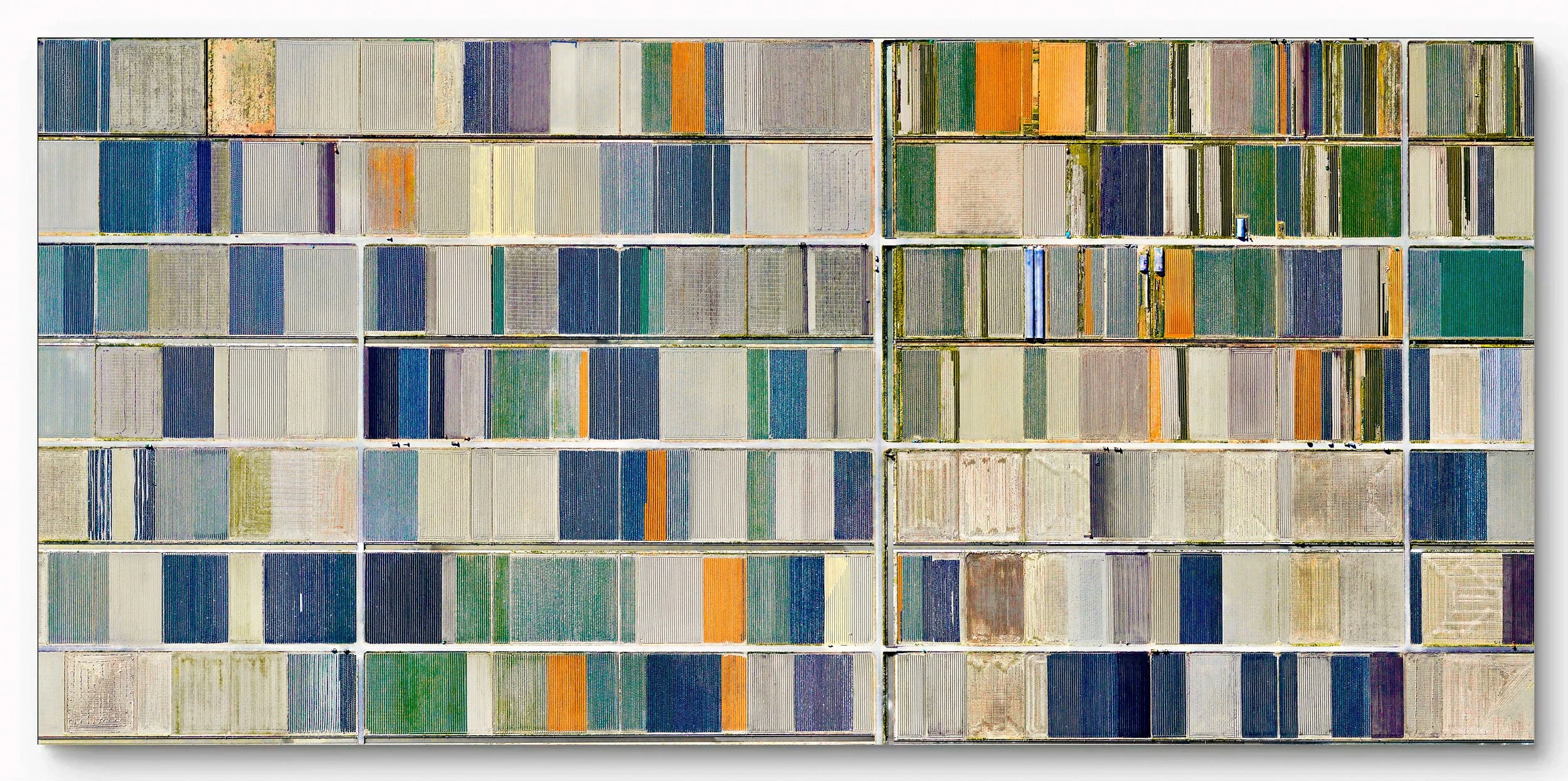 KASHIMA - Saga, Japan

Ultradistancia Fields Series - Archival Pigment Print Photography  - Edition of 5 