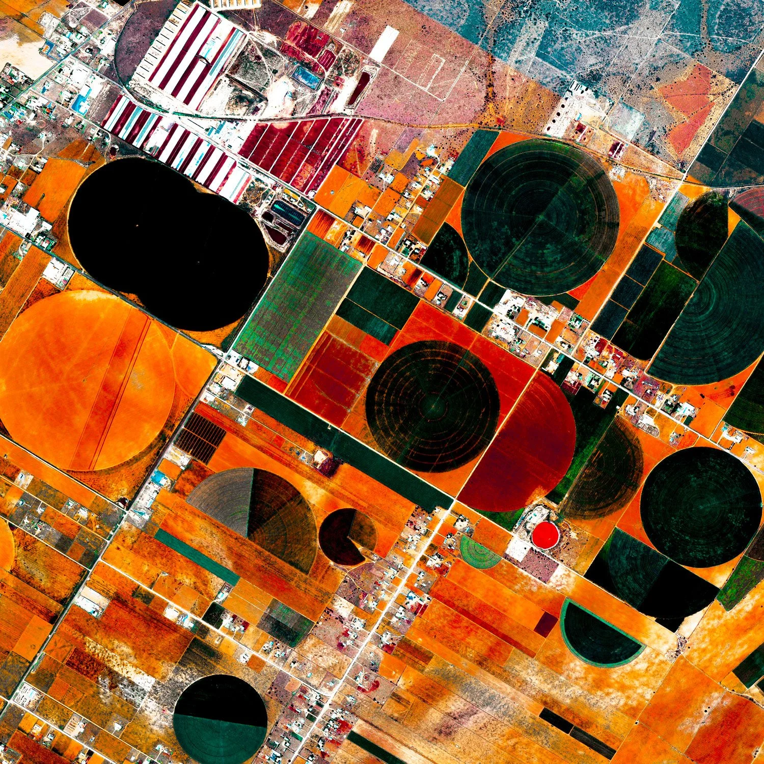 Satellite view of agricultural land in Zacatecas, Mexico, with circular irrigation fields, geometric farmland plots, and vivid orange, red, green, black, and turquoise tones.