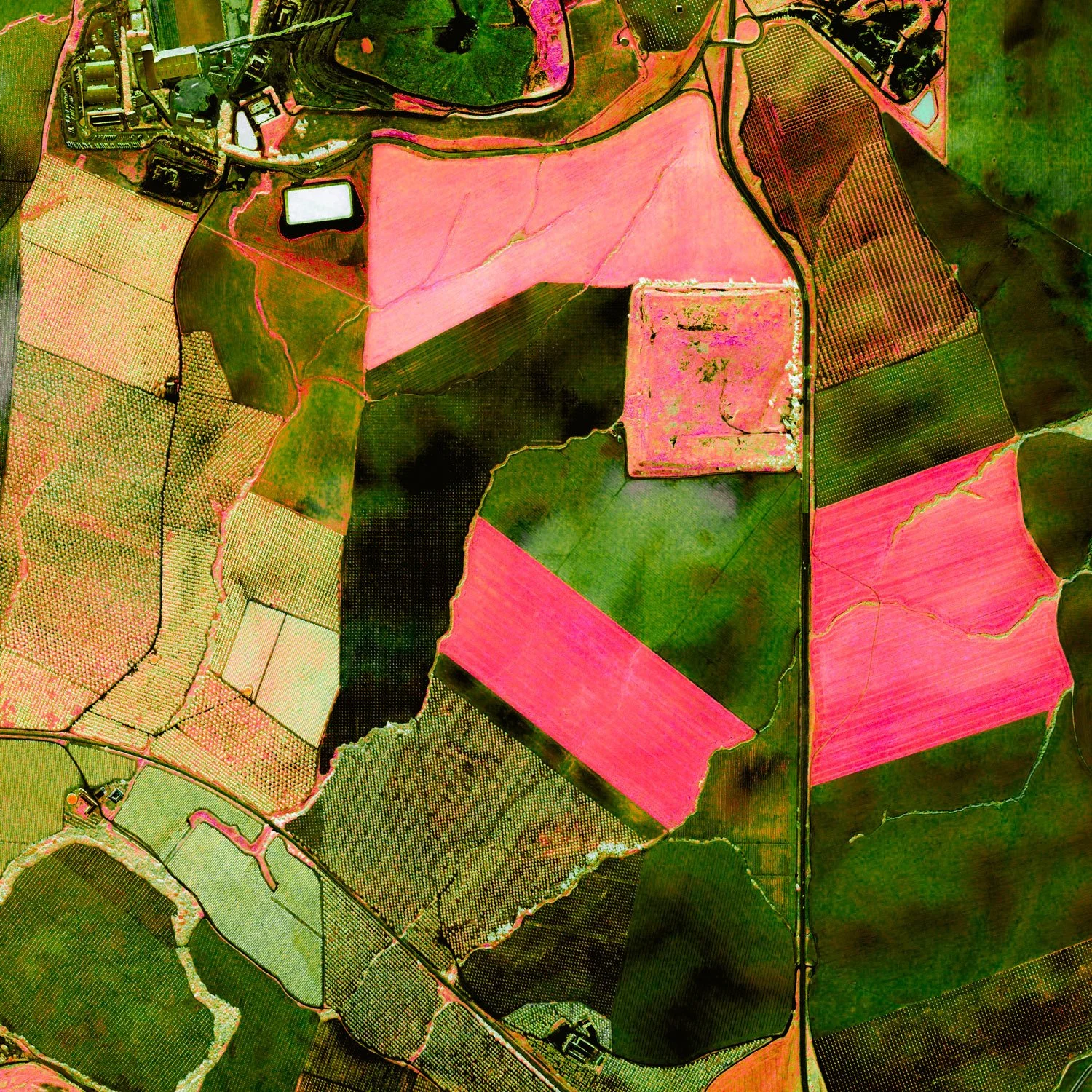 A colorful map showing agricultural fields, roads, and some buildings, with large pink and green patches representing different types of farmland.